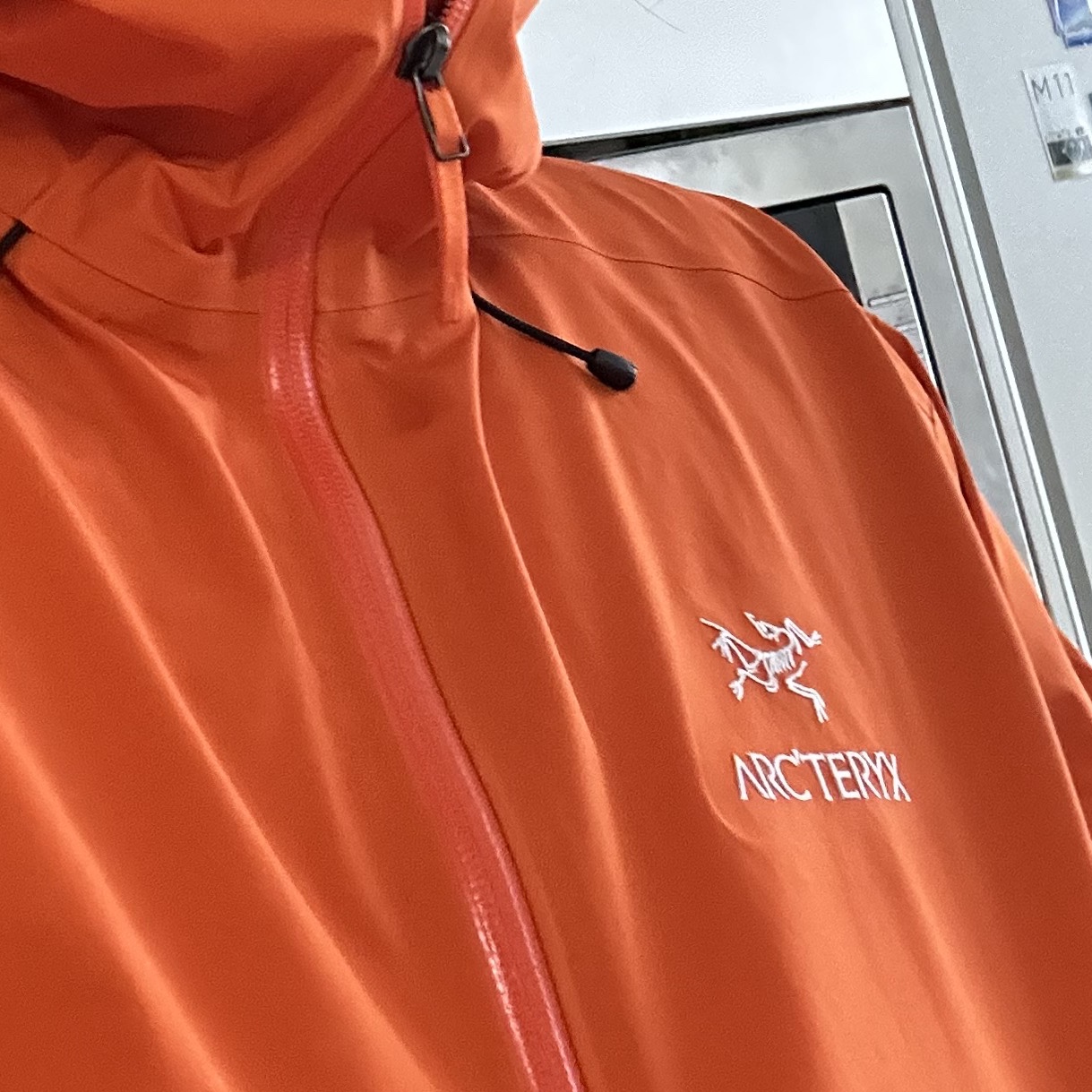 Arc'teryx Beta LT Jacket Phenom 착용 스타일