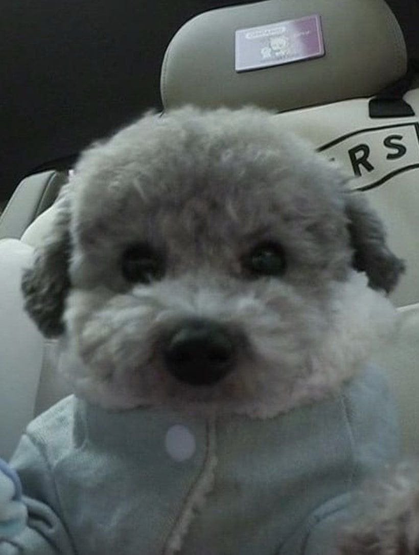 관심 유저 프로필 이미지