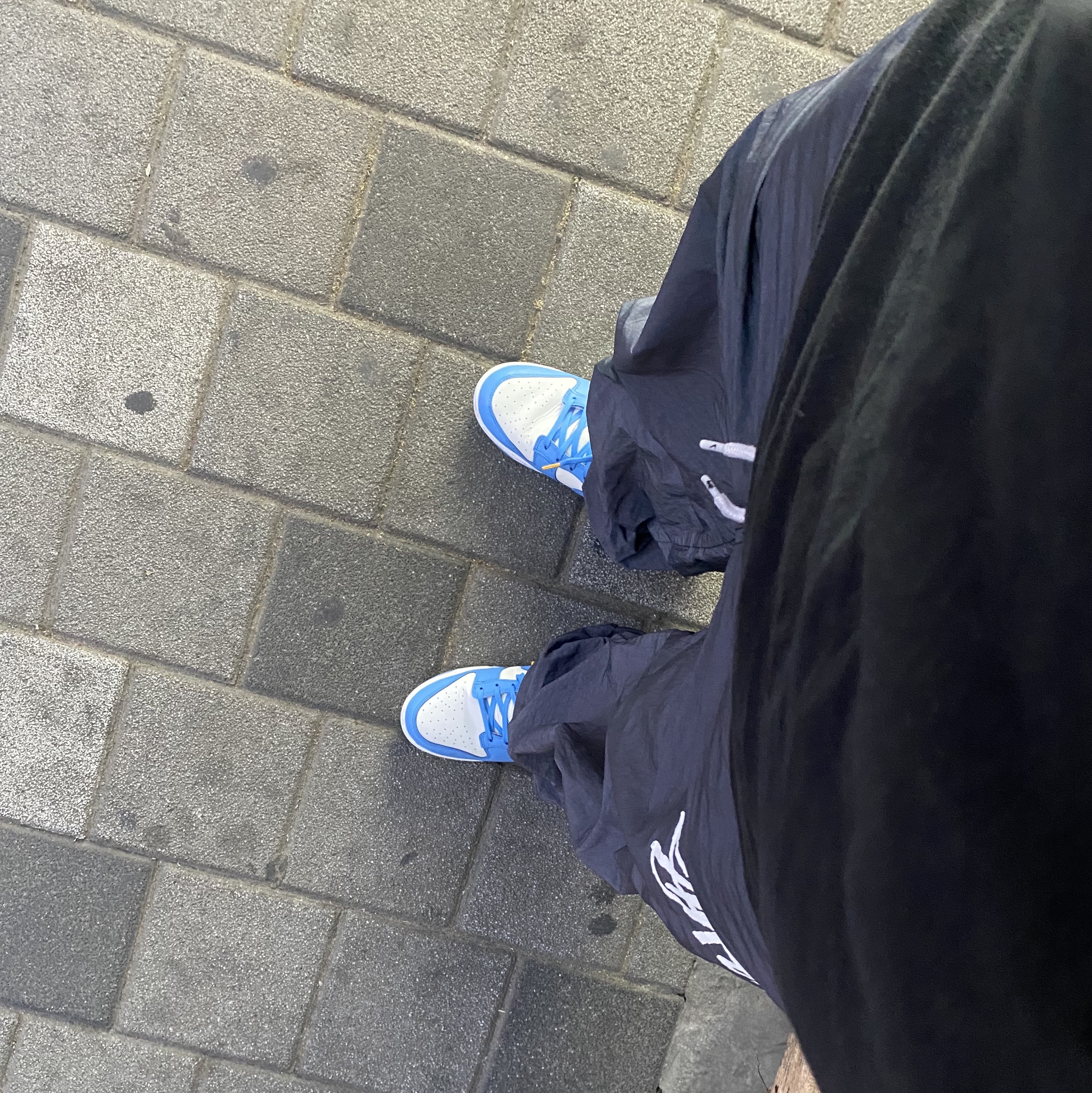 (W) Nike Dunk Low Coast, Nike x Stussy Beach Pants Off Noir 착용 스타일