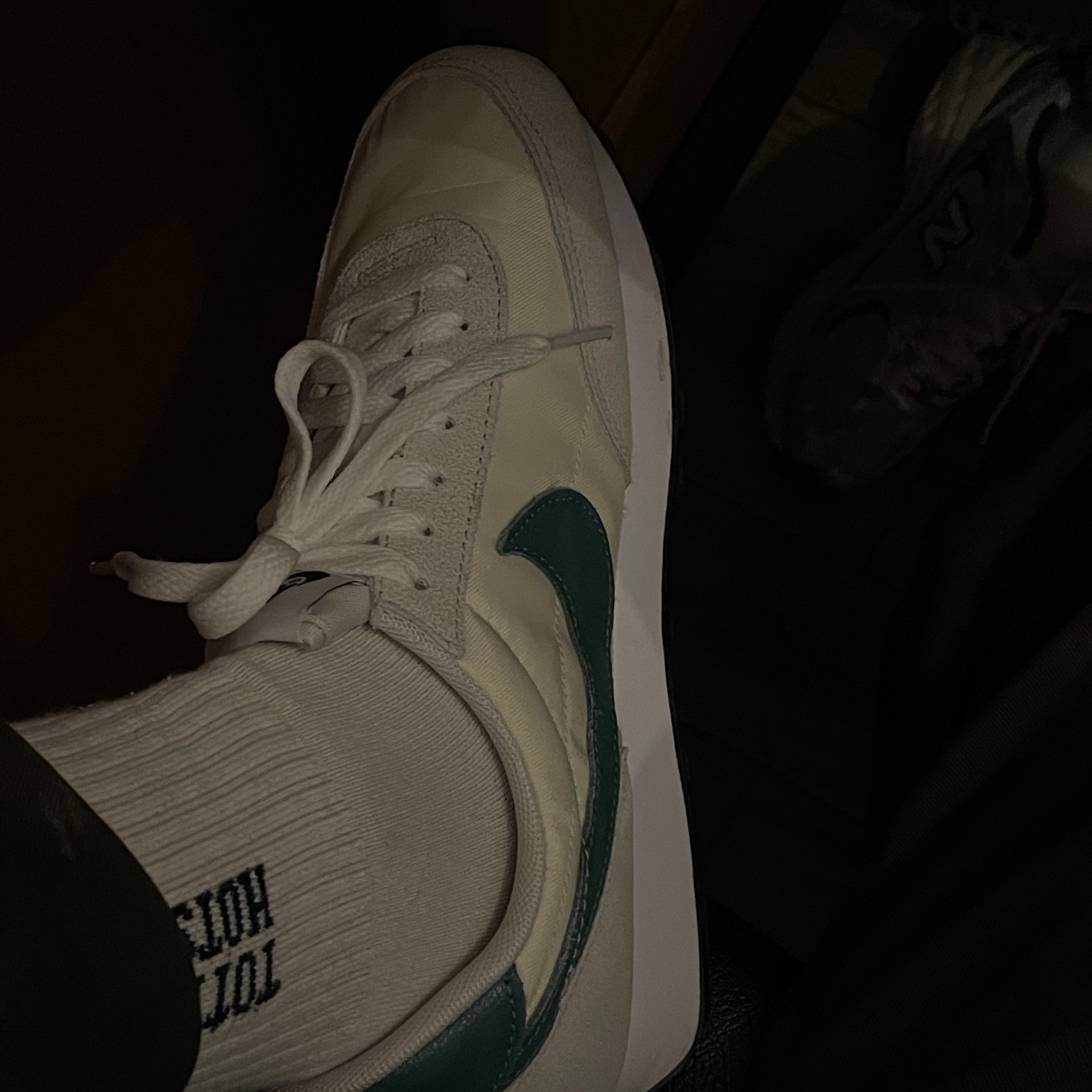 (W) Nike Daybreak Coconut Milk Green 착용 스타일 - 2