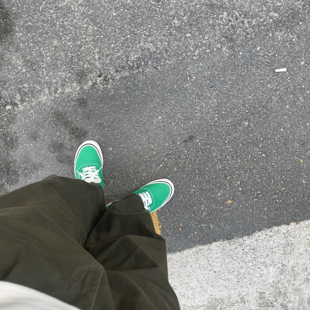 Vans Authentic 44 DX Anaheim Factory Emerald Green 착용 스타일