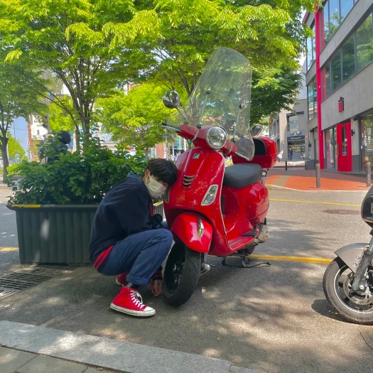스타일 카드