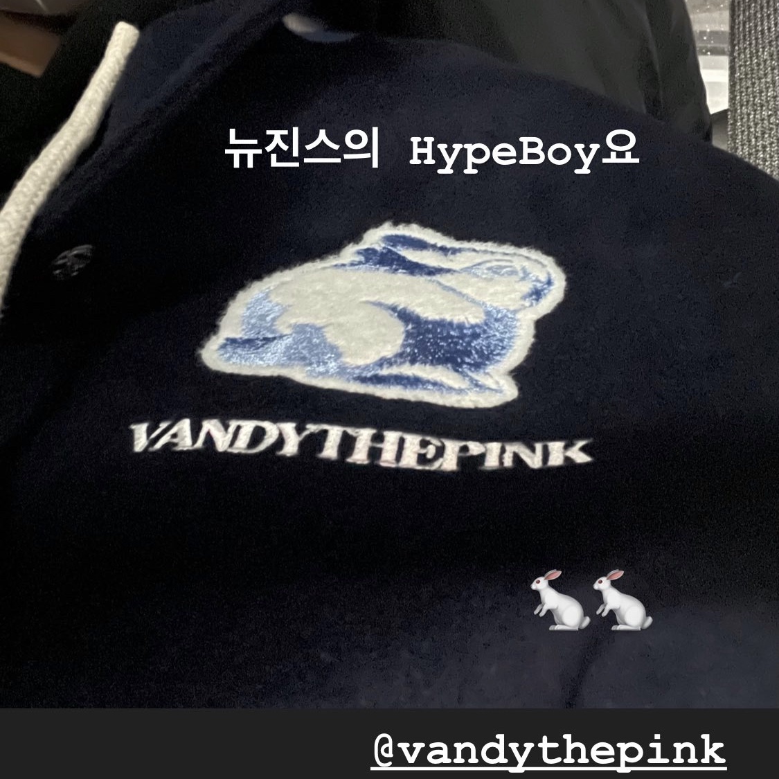 Vandy The Pink Rabbit Varsity Jacket 착용 스타일
