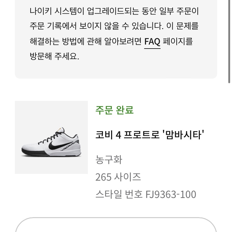 나이키 코비 4 프로트로 맘바시타 지지 착용 스타일