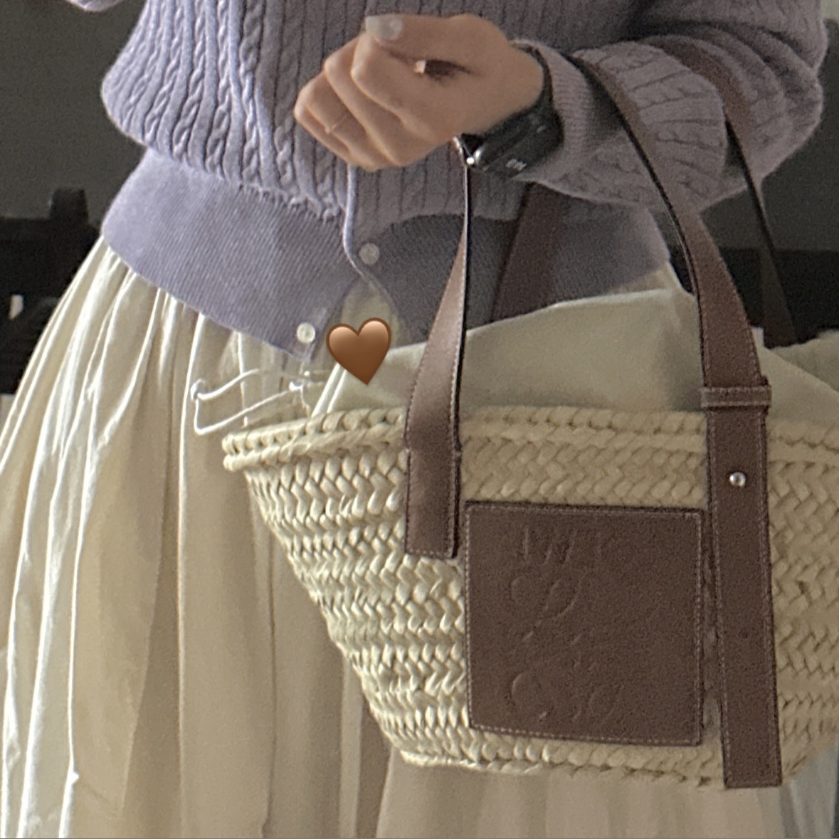 Loewe Small Basket Bag in Palm Leaf and Calfskin Natural Tan 착용 스타일