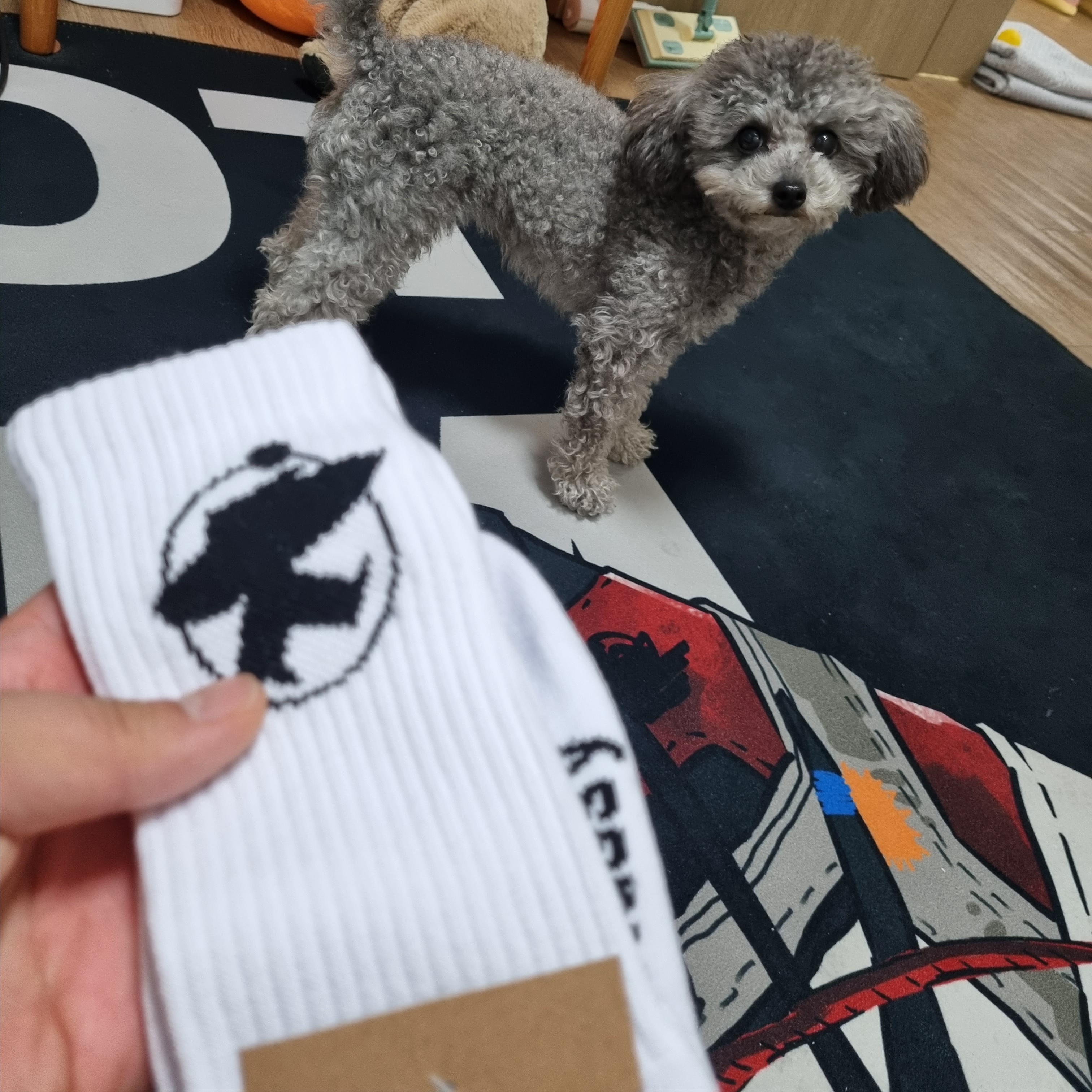 Stussy Surfman Crew Socks White 착용 스타일