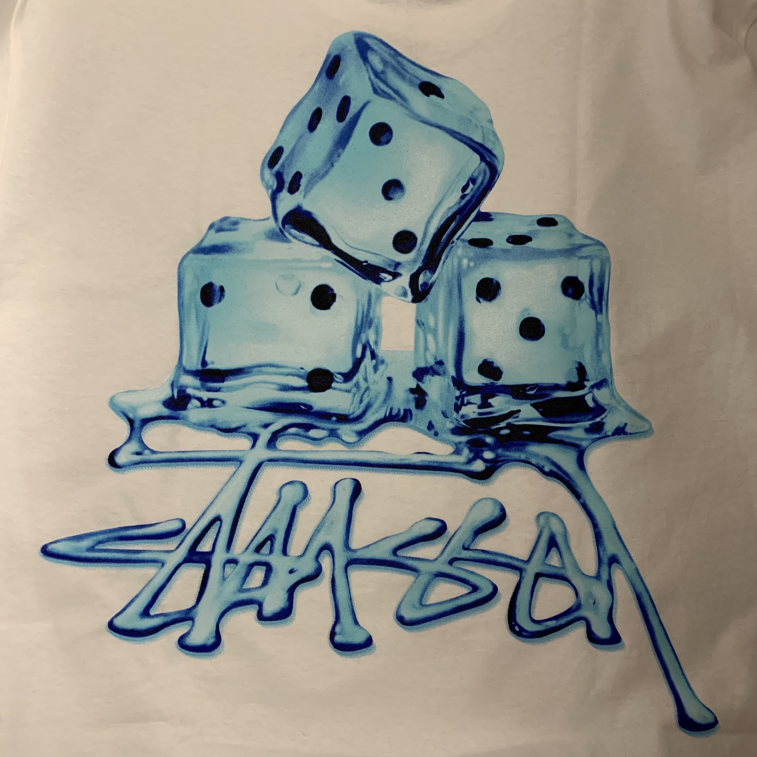 Stussy Melted T-Shirt White 착용 스타일
