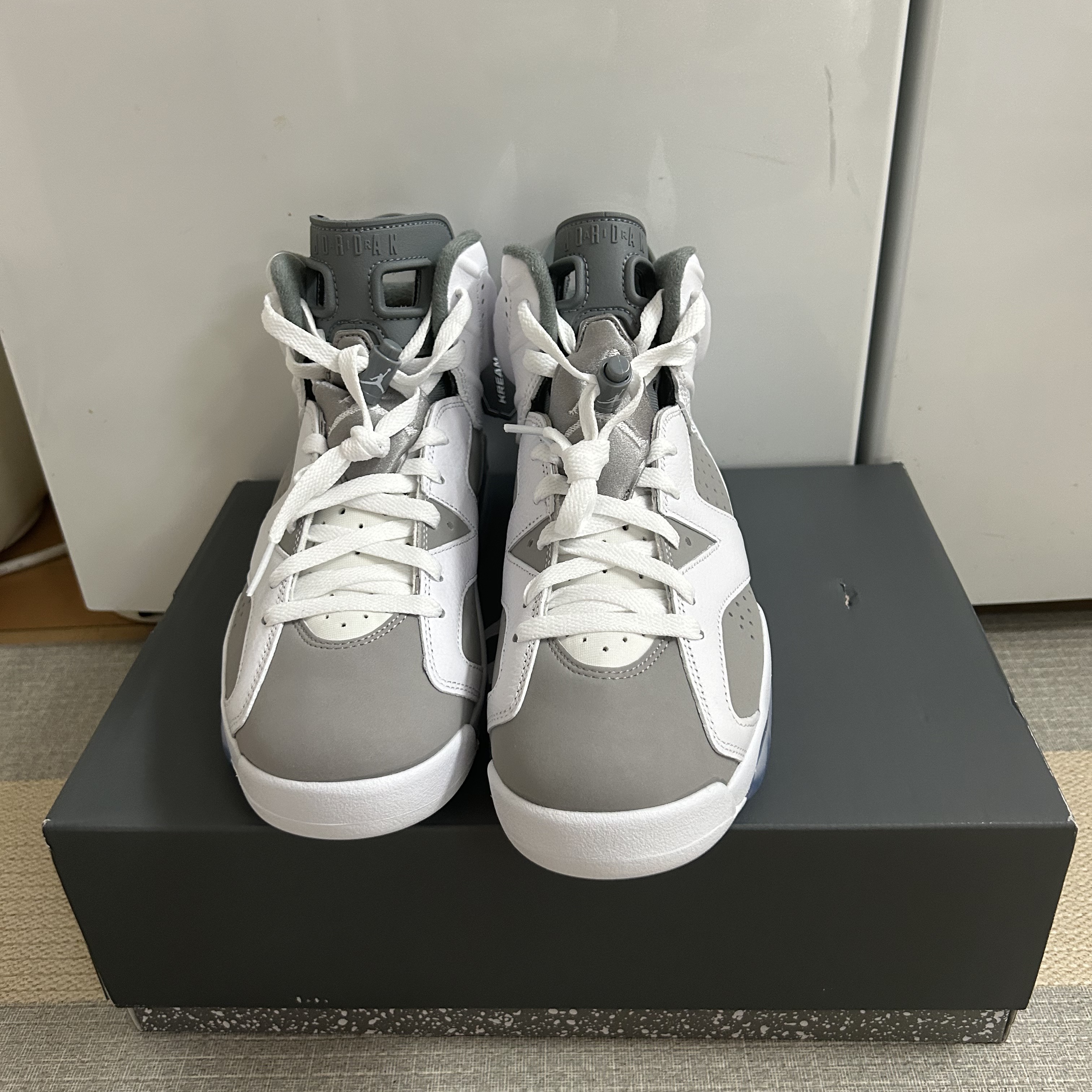 Jordan 6 Retro Cool Grey 착용 스타일