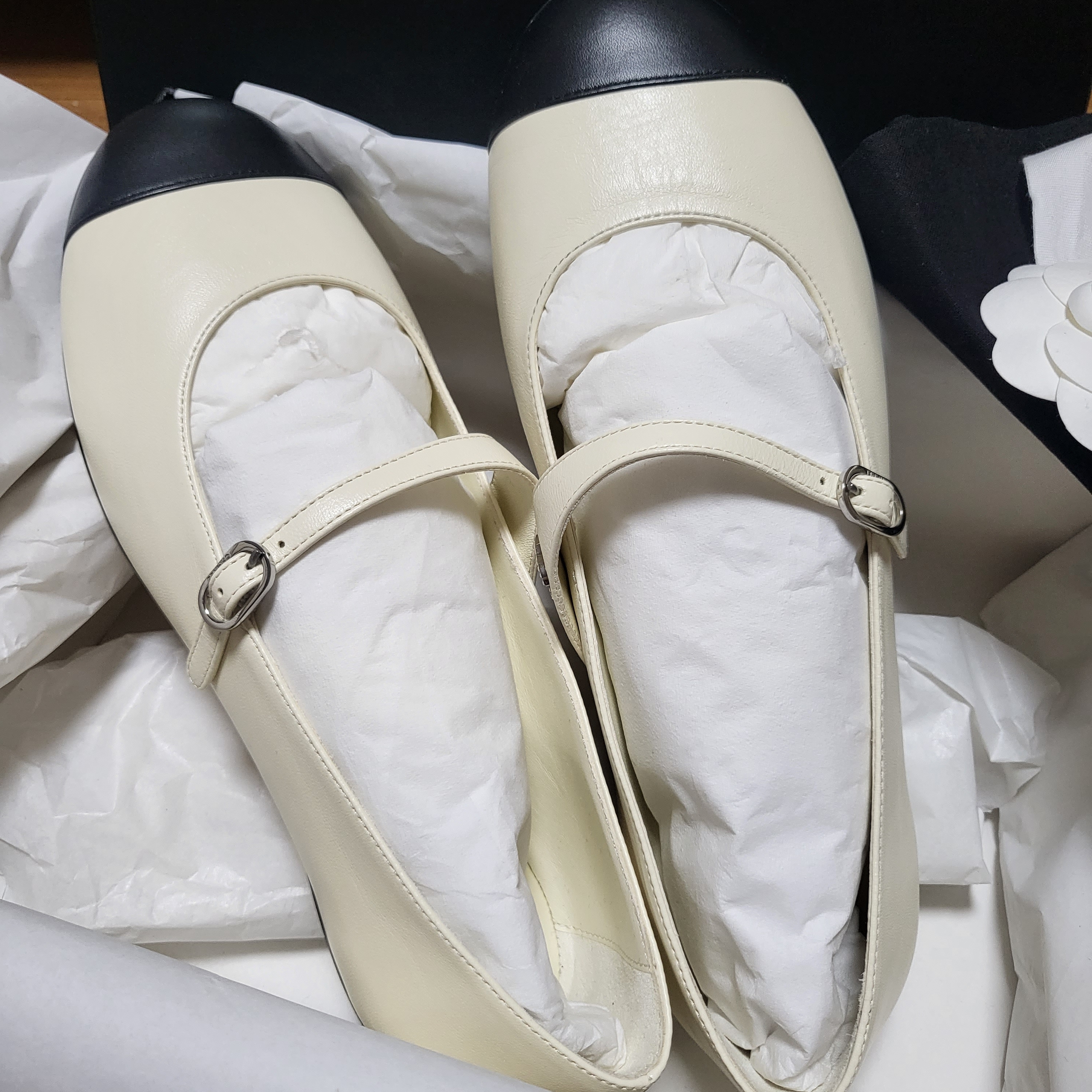 (W) Chanel Ballerina Flat Lambskin & Ivory Black 착용 스타일 - 2