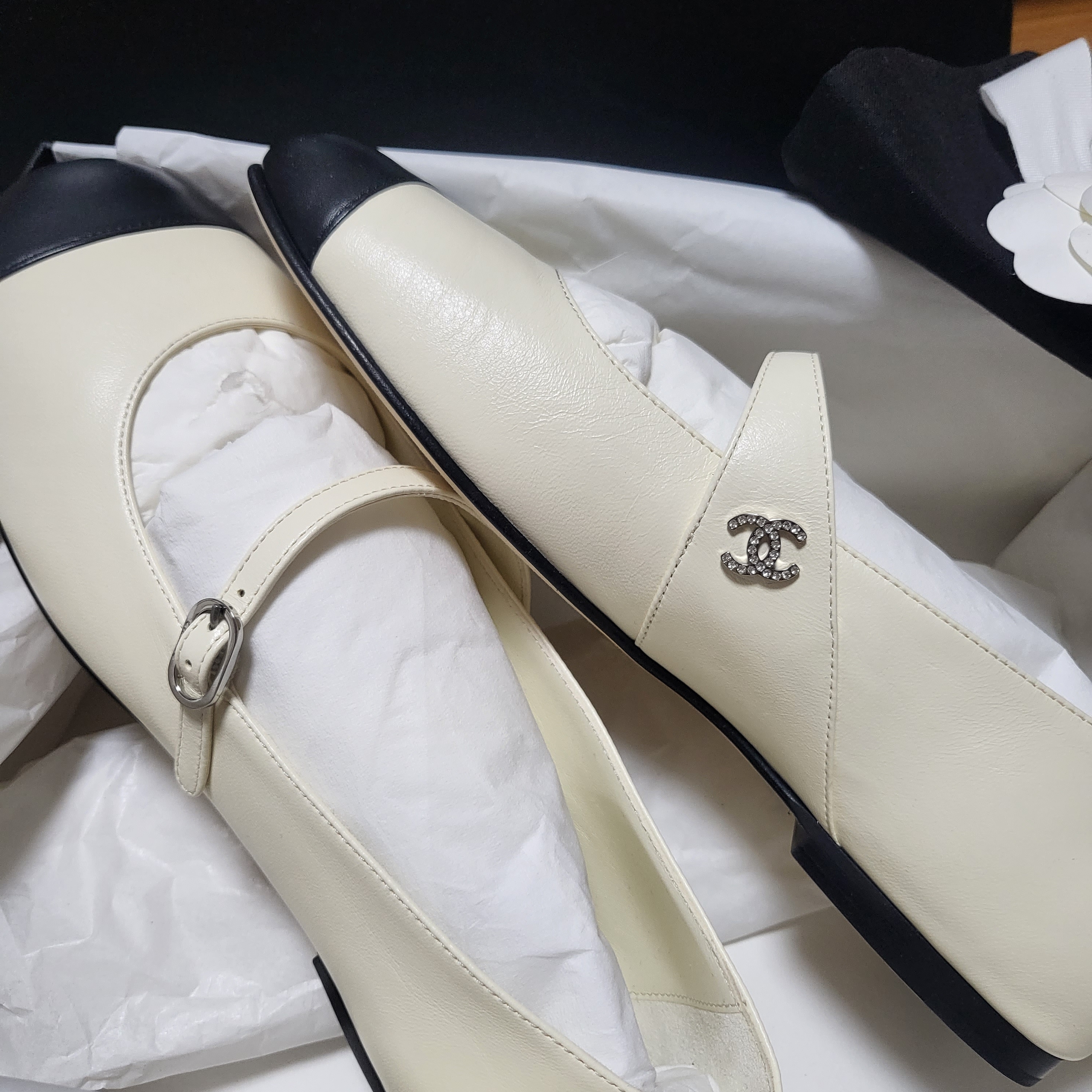 (W) Chanel Ballerina Flat Lambskin & Ivory Black 착용 스타일 - 1