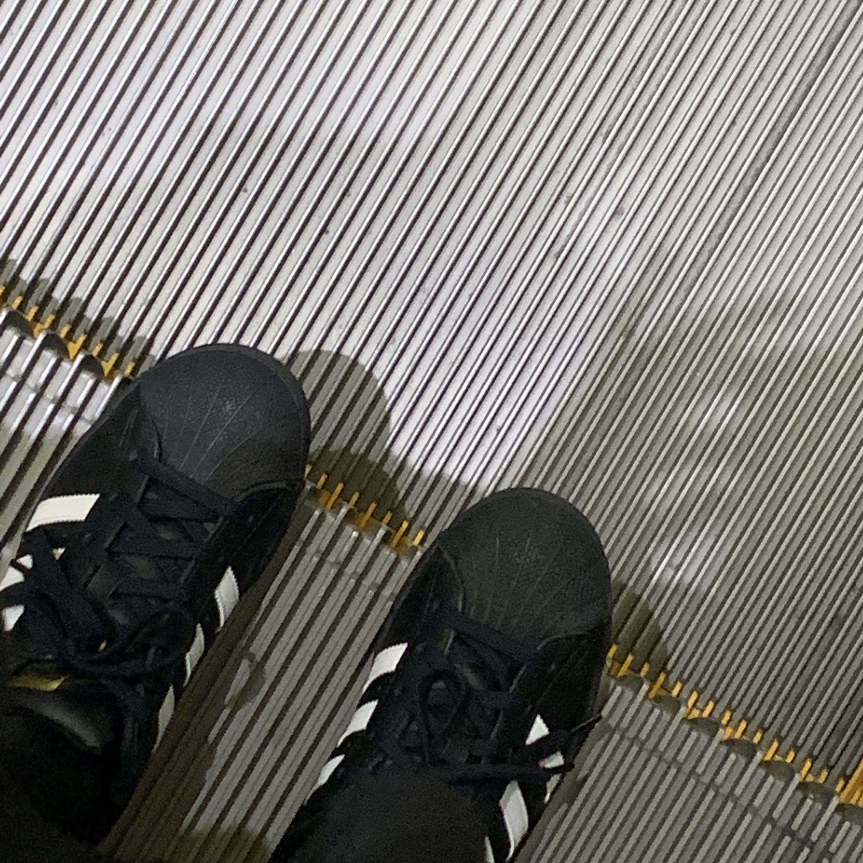 (J) Adidas Superstar Black White 착용 스타일