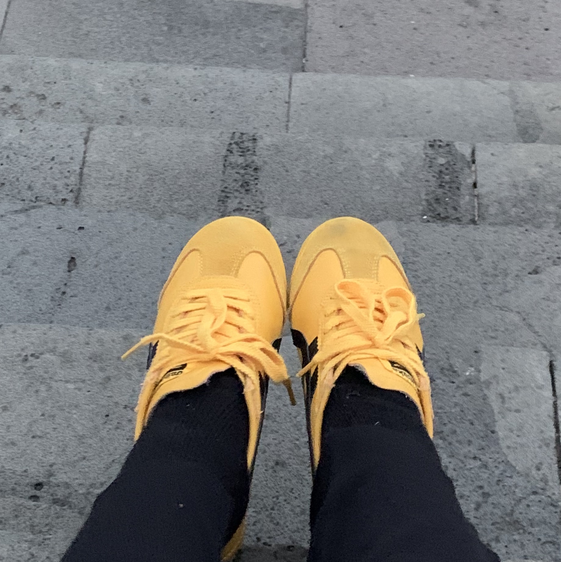 Onitsuka Tiger Mexico 66 Yellow Black 착용 스타일 - 2