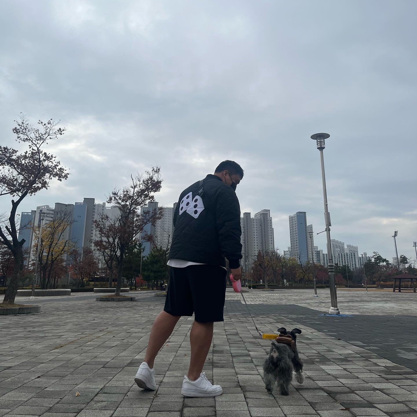 Stussy Dice Quilted Liner Jacket Black, Nike Air Force 1 '07 Low White 착용 스타일