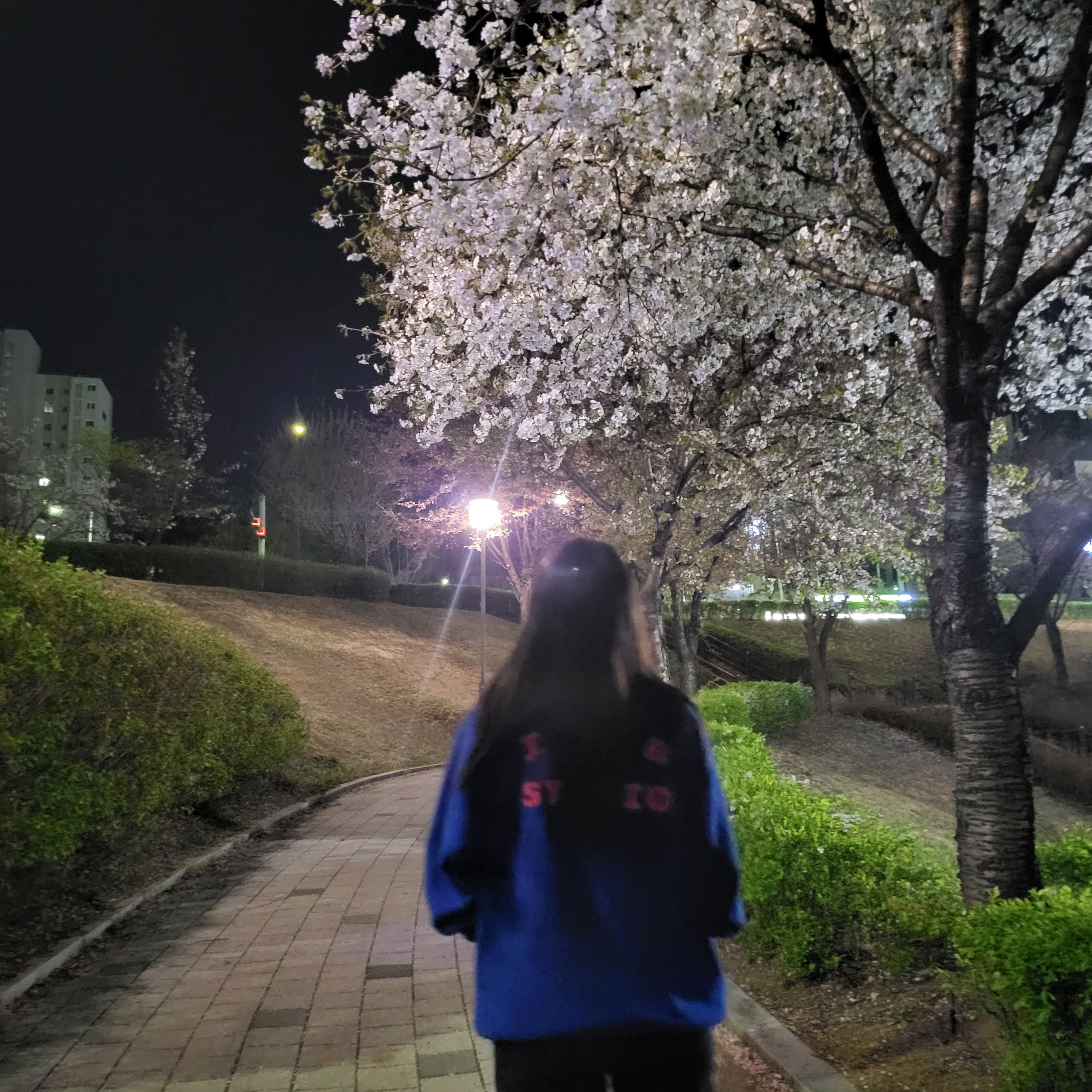IAB Studio x Thor Fleece & 75L Container Pack Blue Pink 착용 스타일