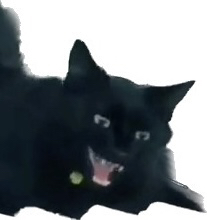 관심 유저 프로필 이미지