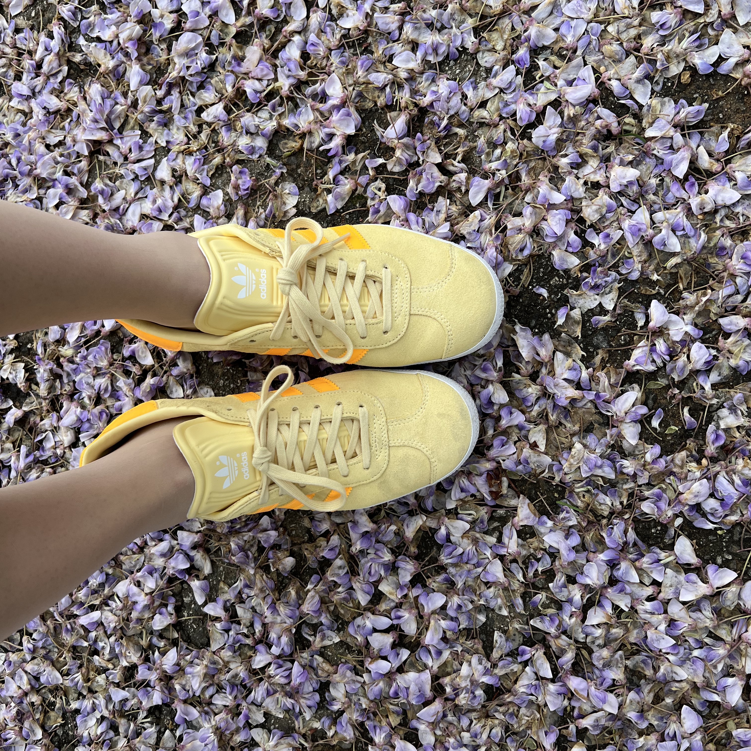 (W) Adidas Gazelle Almost Yellow Solar Gold 착용 스타일