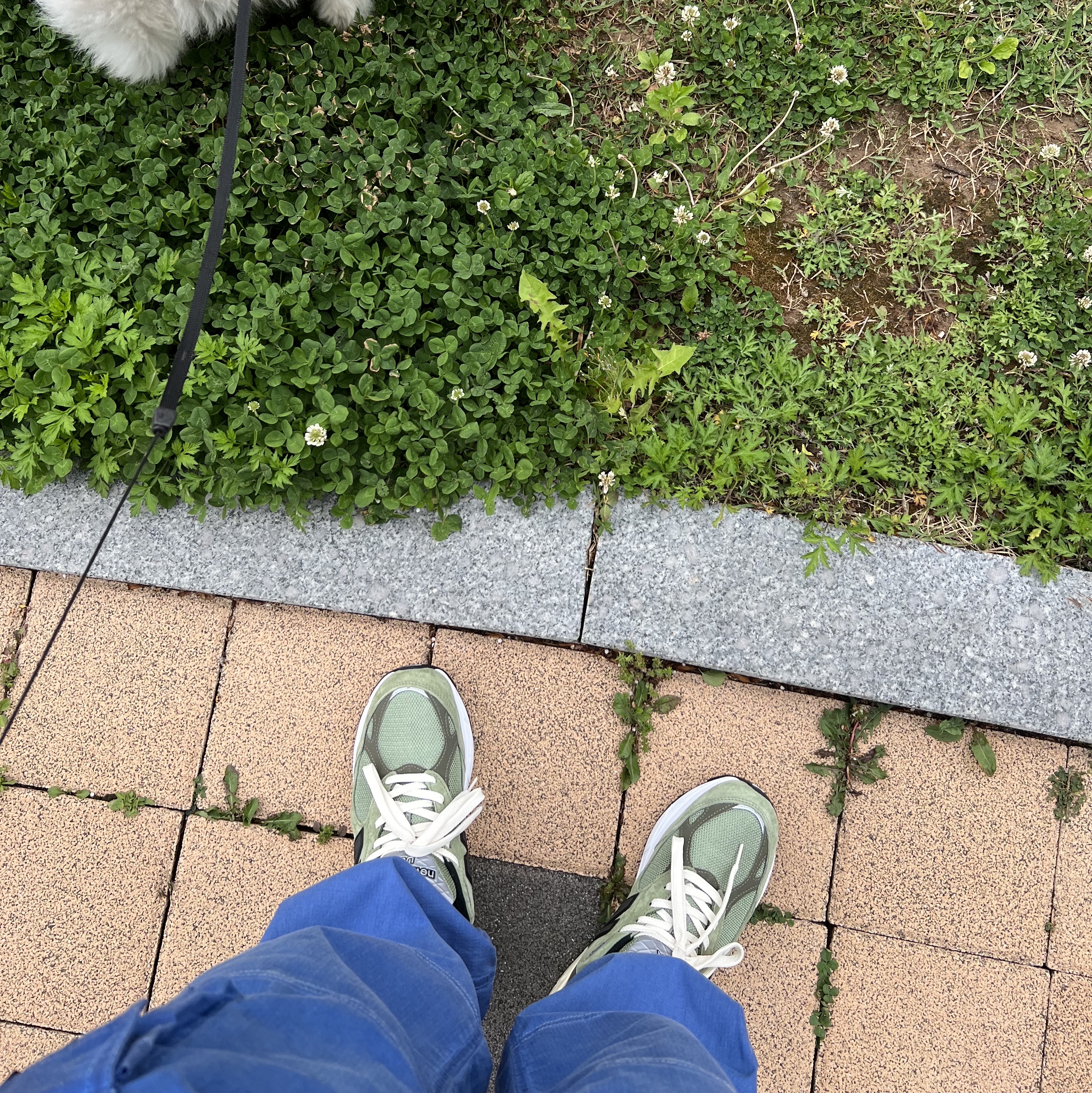New Balance x JJJJound 990v3 Olive 착용 스타일