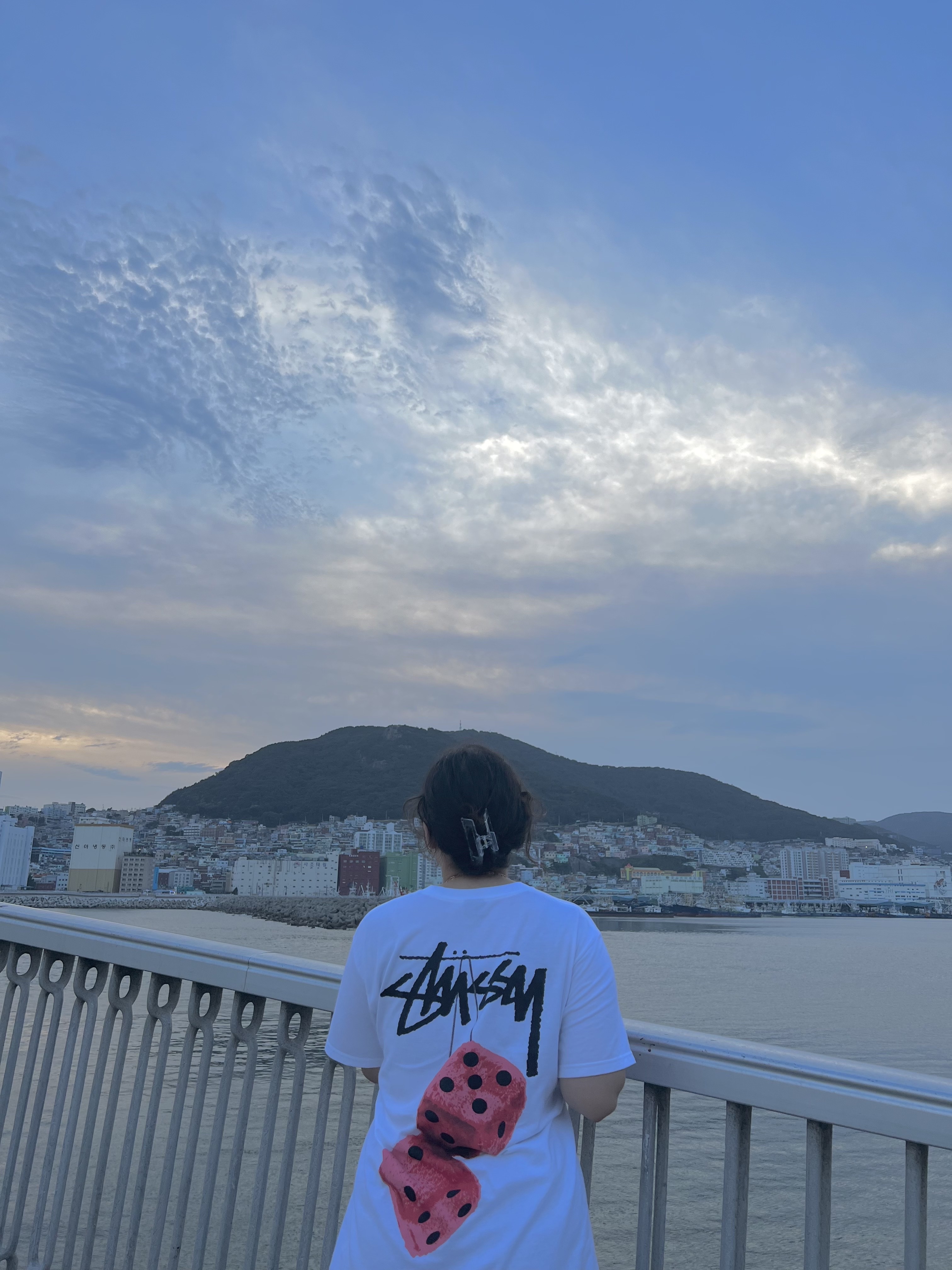 Stussy Fuzzy Dice T-Shirt White 착용 스타일