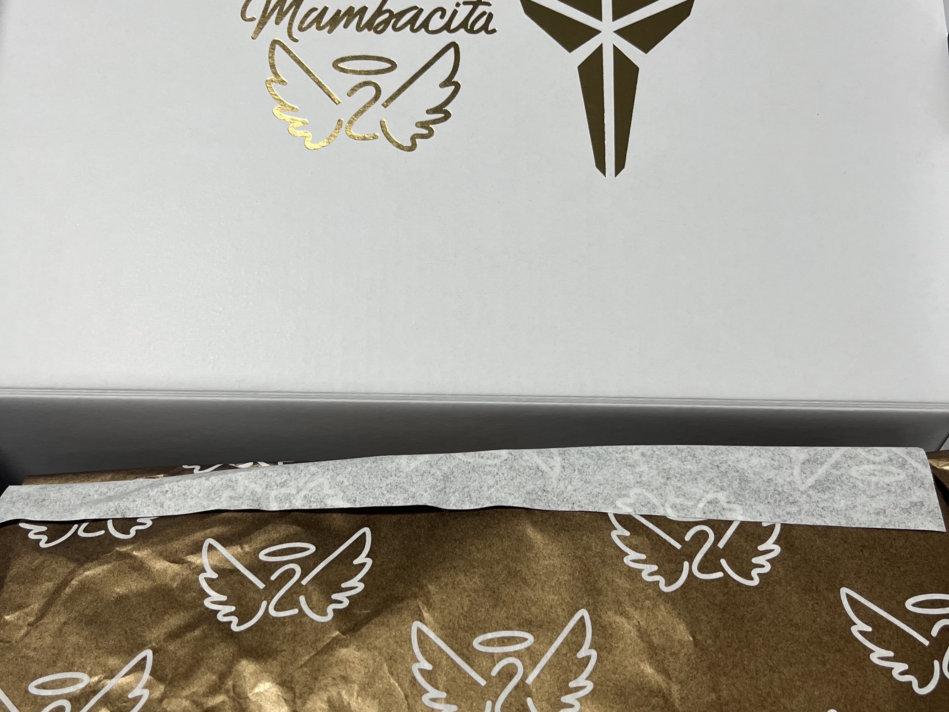 Nike Kobe 4 Protro Mambacita Gigi 착용 스타일 - 2