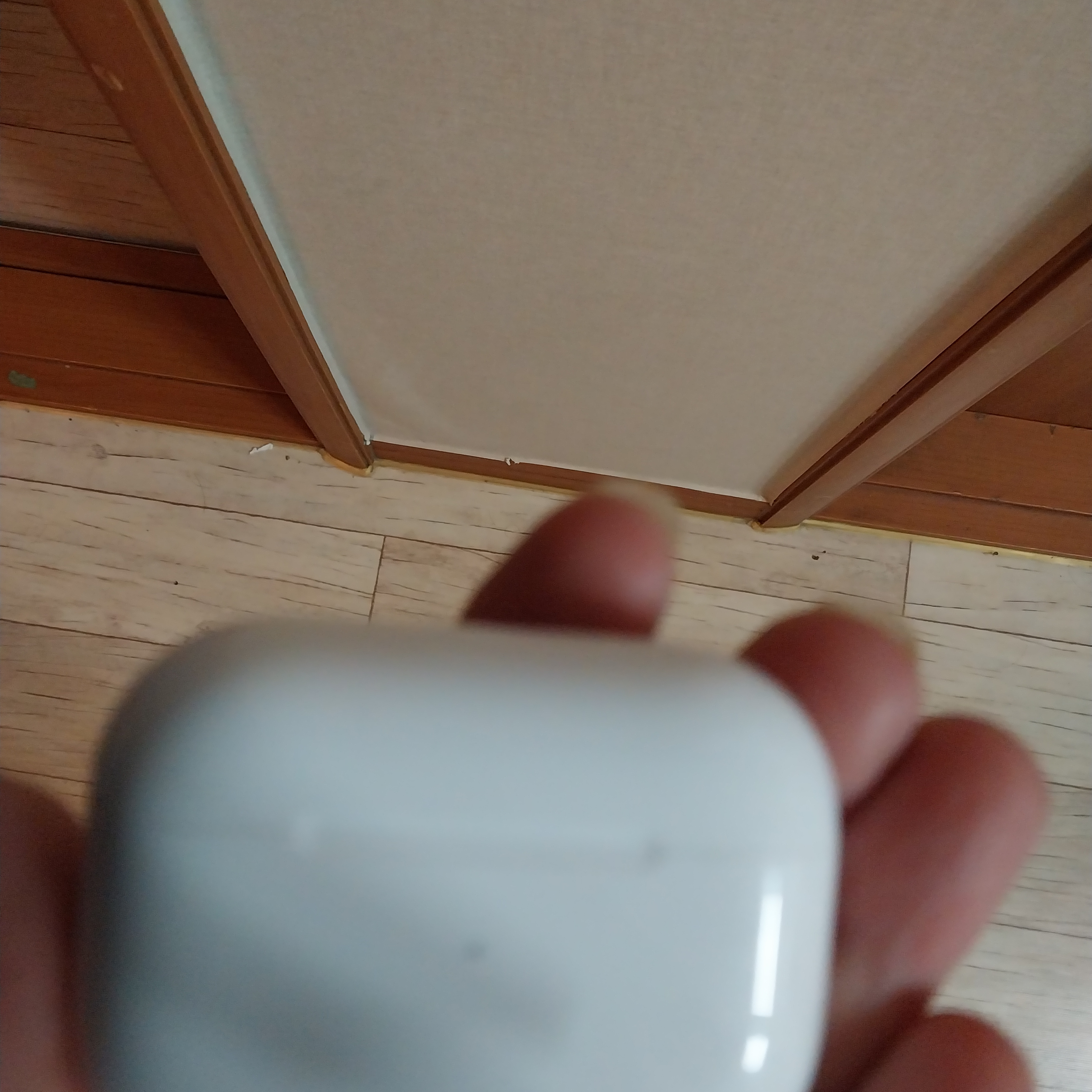 Apple AirPods Pro 2nd Gen (Korean Ver.) 착용 스타일