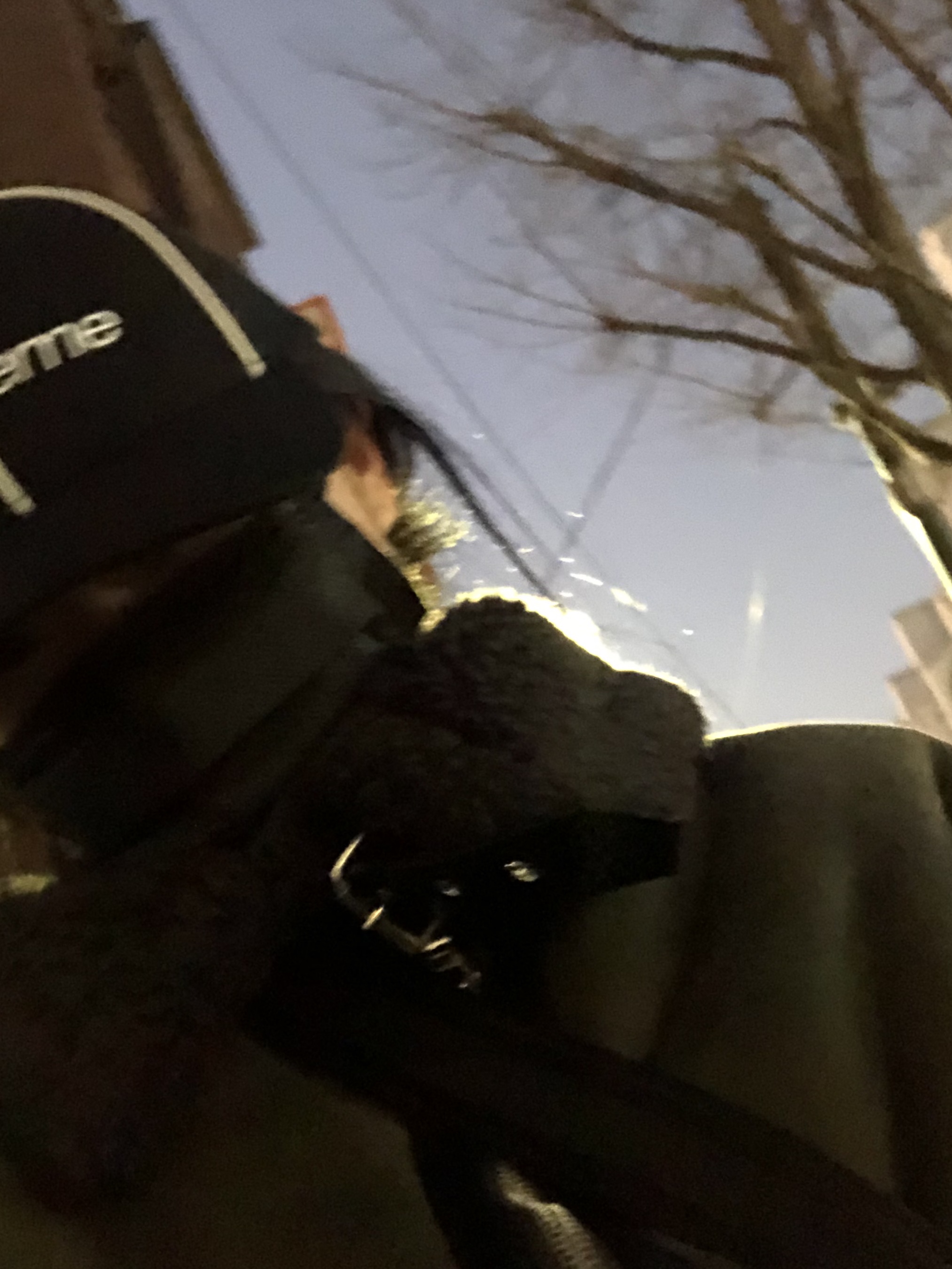 Supreme Piping 6-Panel Black - 22FW 착용 스타일 - 2