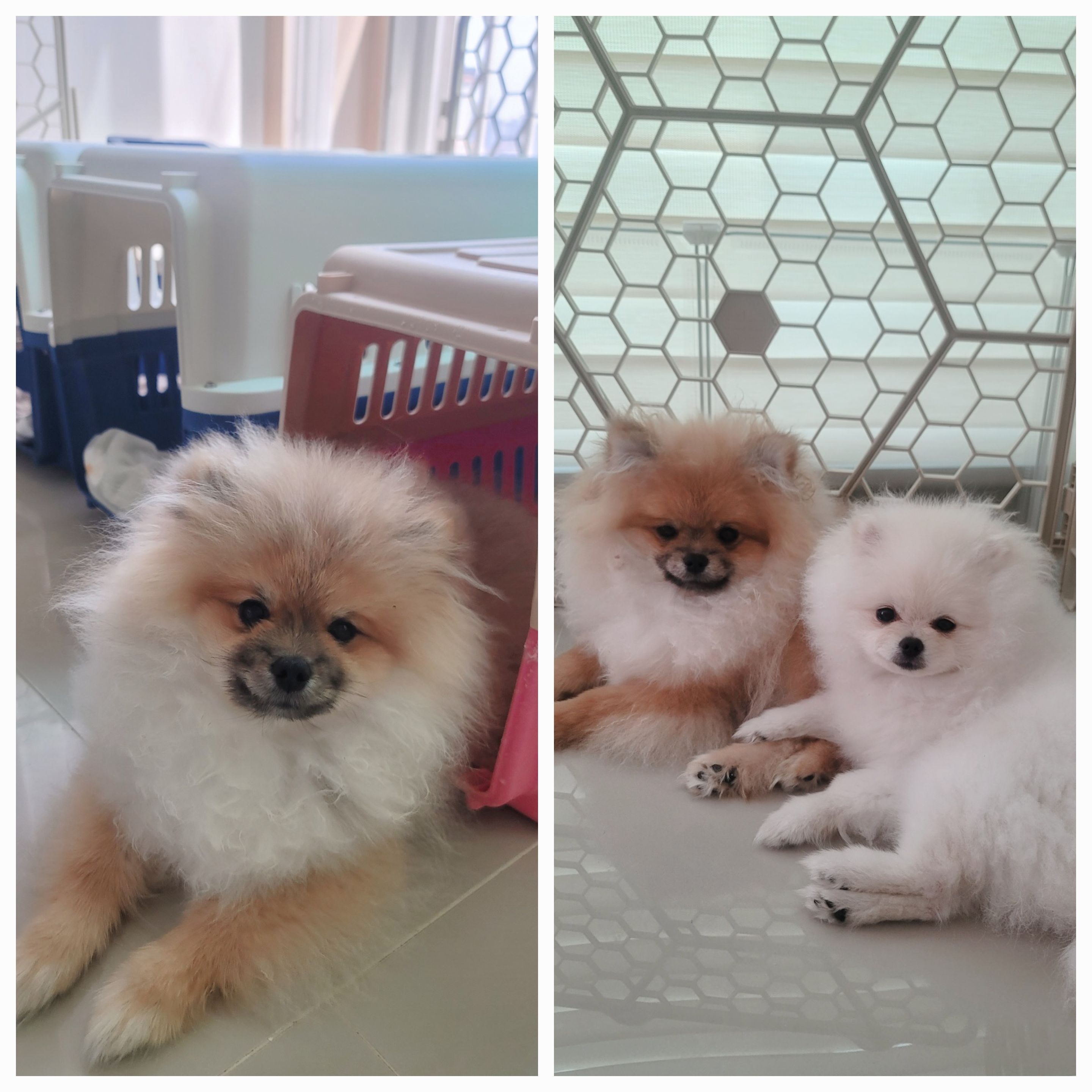 김성록님의 스타일