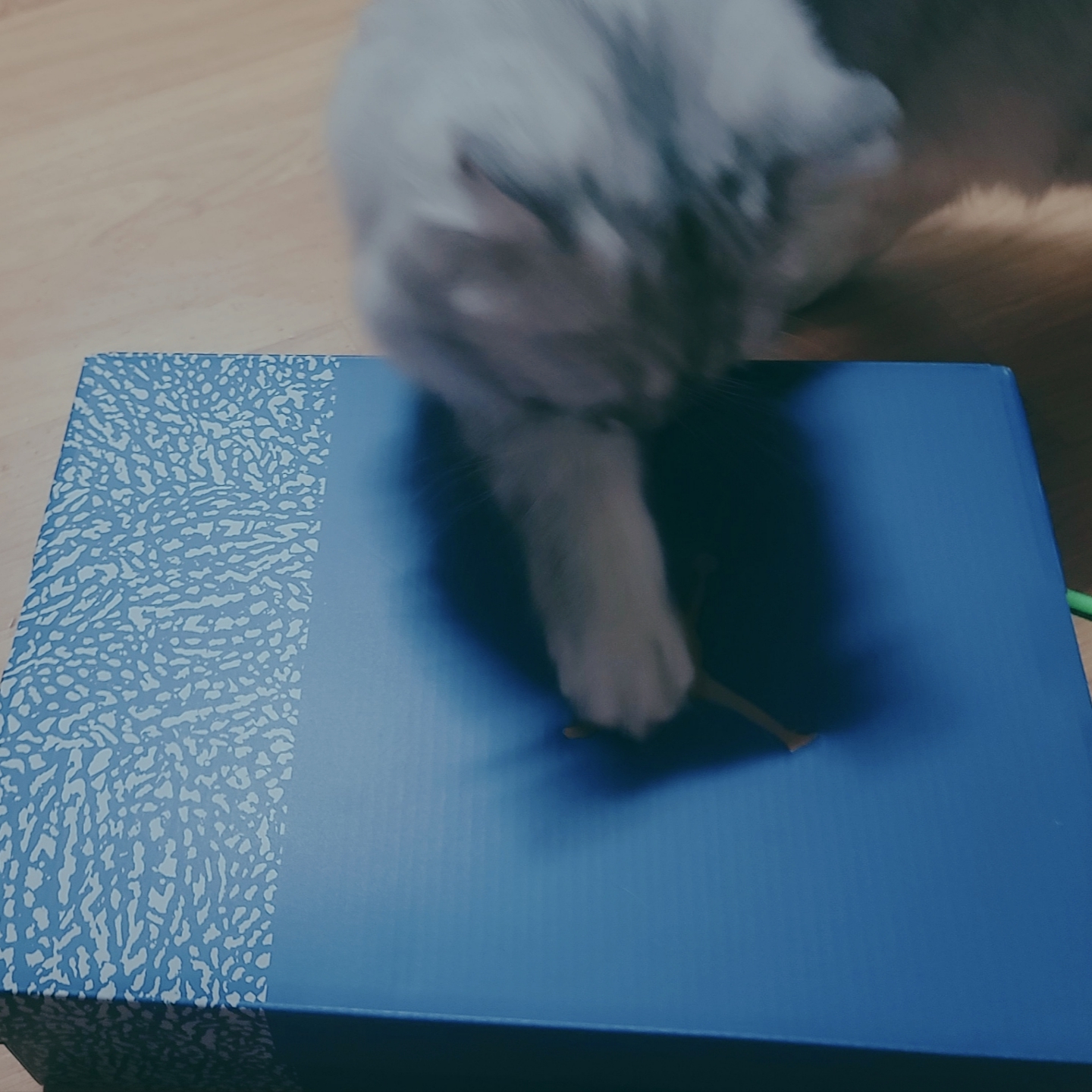 sooo님의 스타일 - 1