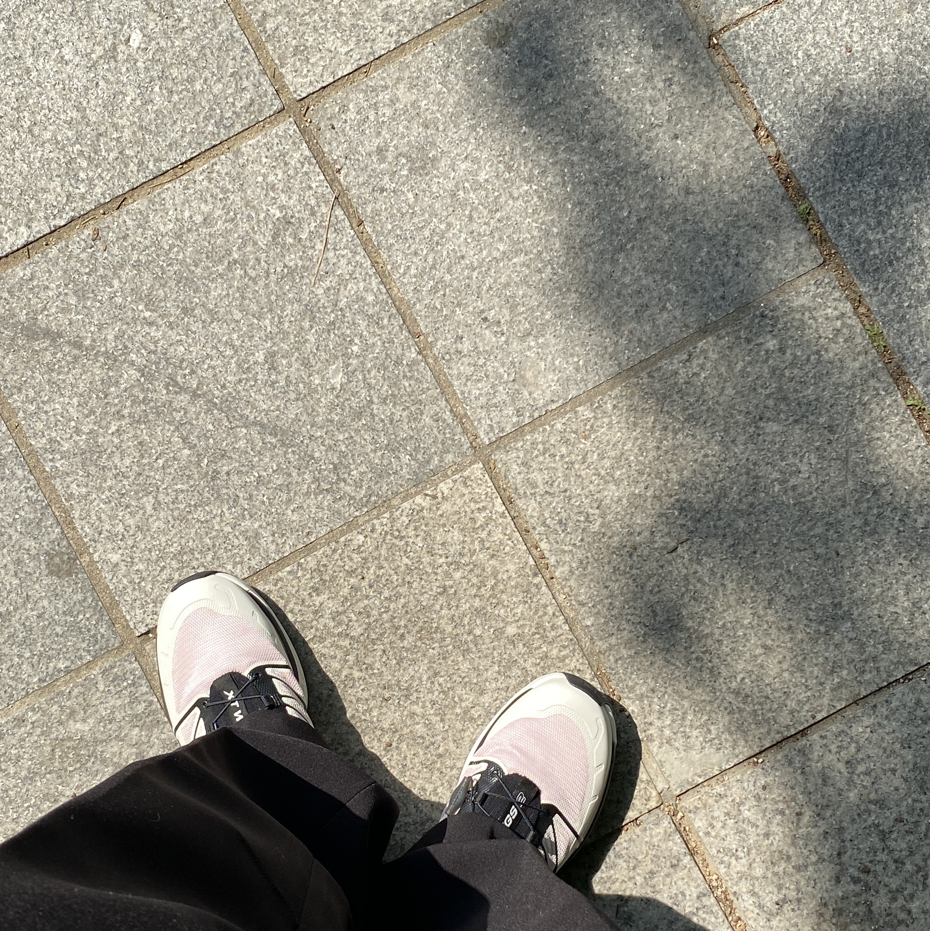 Salomon XT-Wings 2 Cradle Pink 착용 스타일