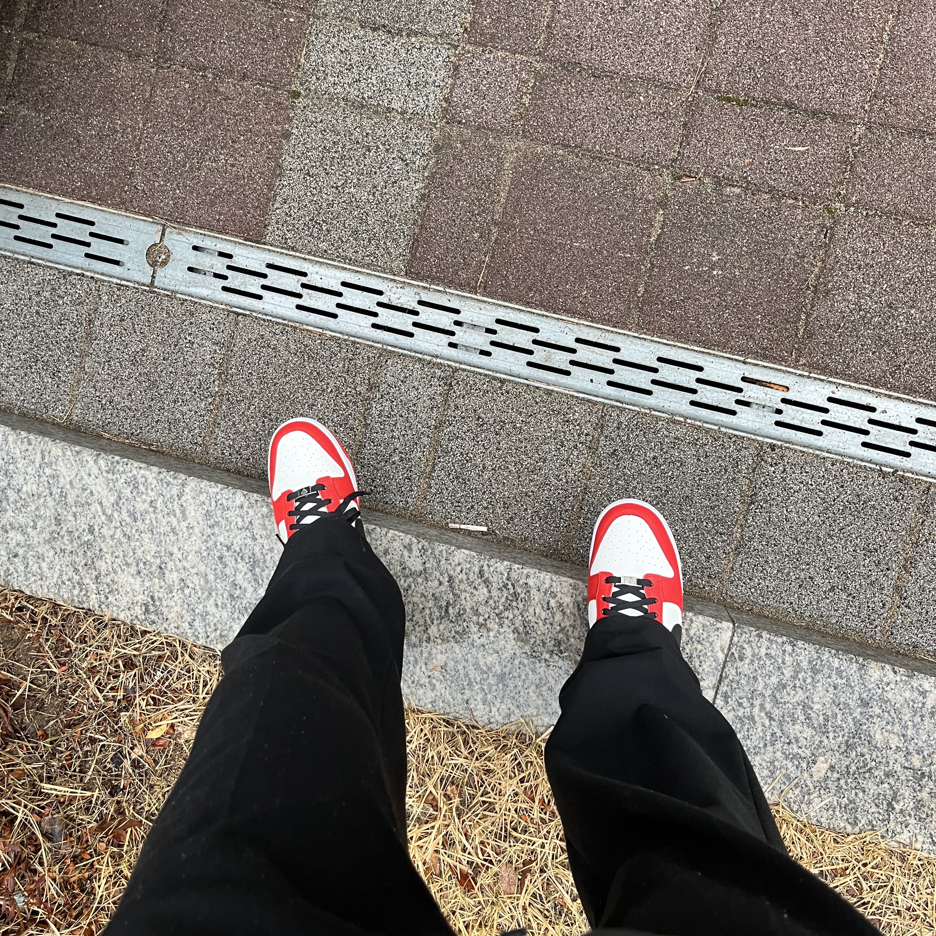 Nike x NBA Dunk Low Retro EMB Black and Chile Red 착용 스타일