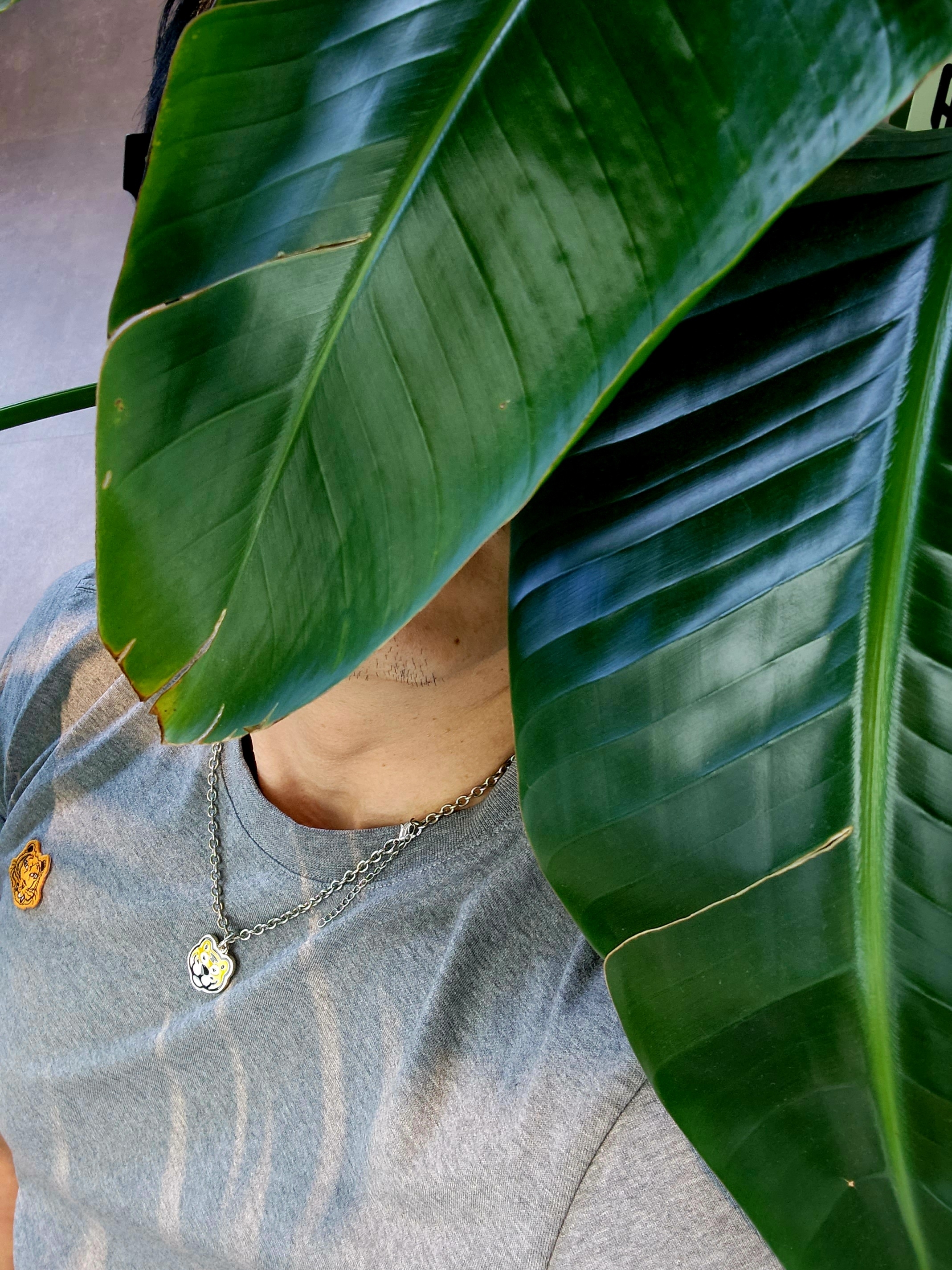 Kenzo Tiger Crest T-Shirt Dove Grey, Human Made Animal Necklace Tiger Yellow 착용 스타일