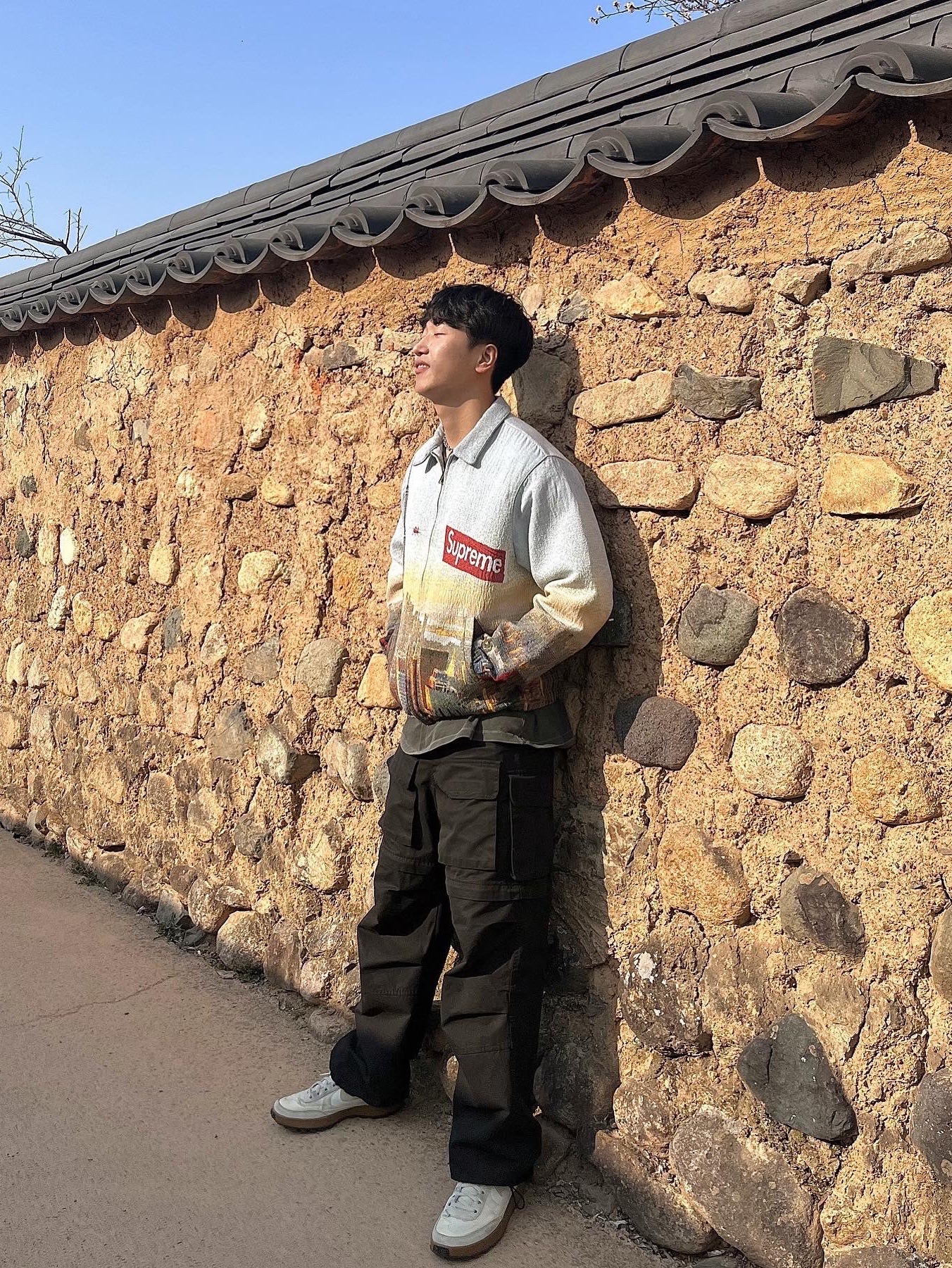 Supreme Aerial Tapestry Harrington Jacket - 20FW, Project G/R Convertible Tactical Pants Black 착용 스타일 - 2