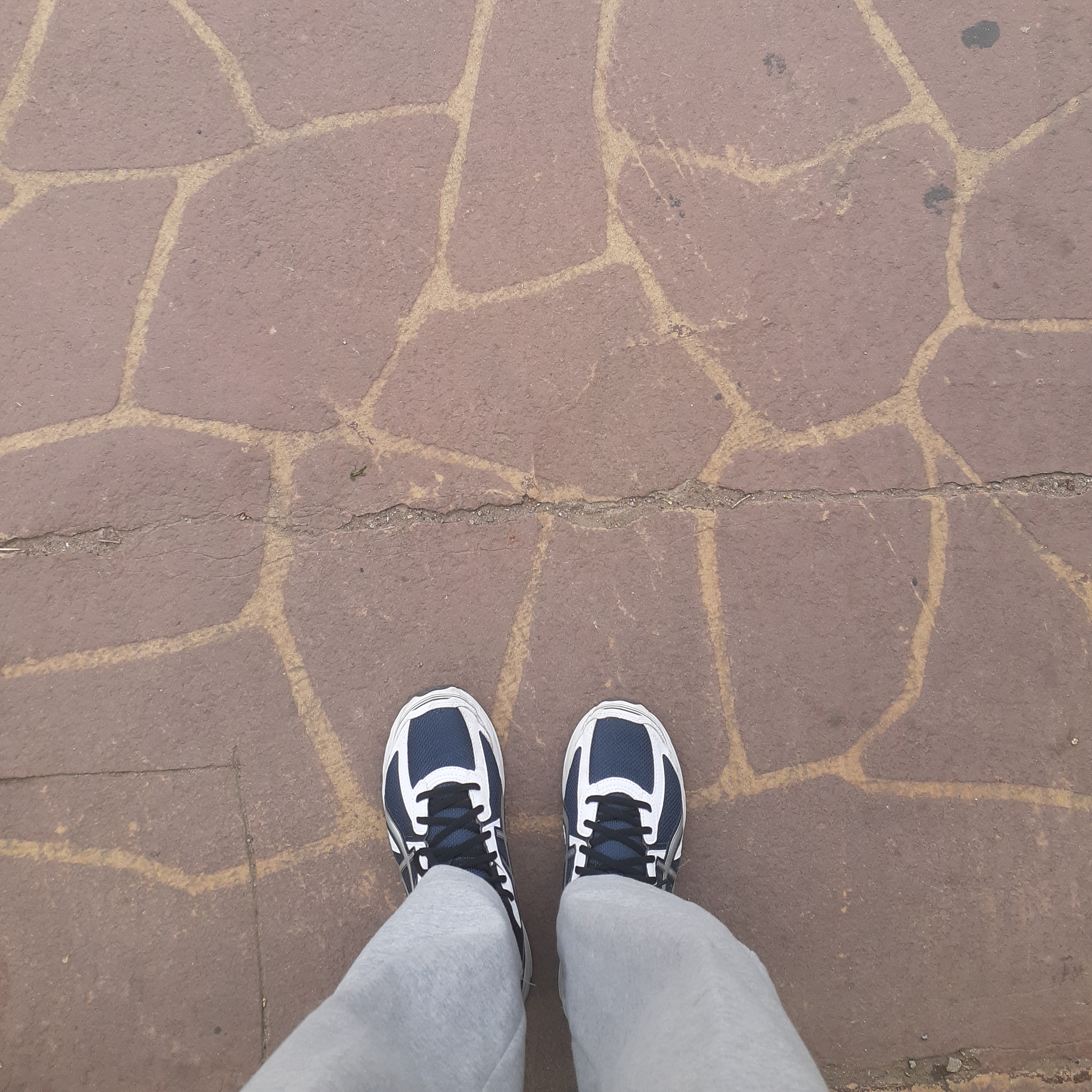 Asics Jog 100 S Navy Pure Silver - 2E Wide 착용 스타일