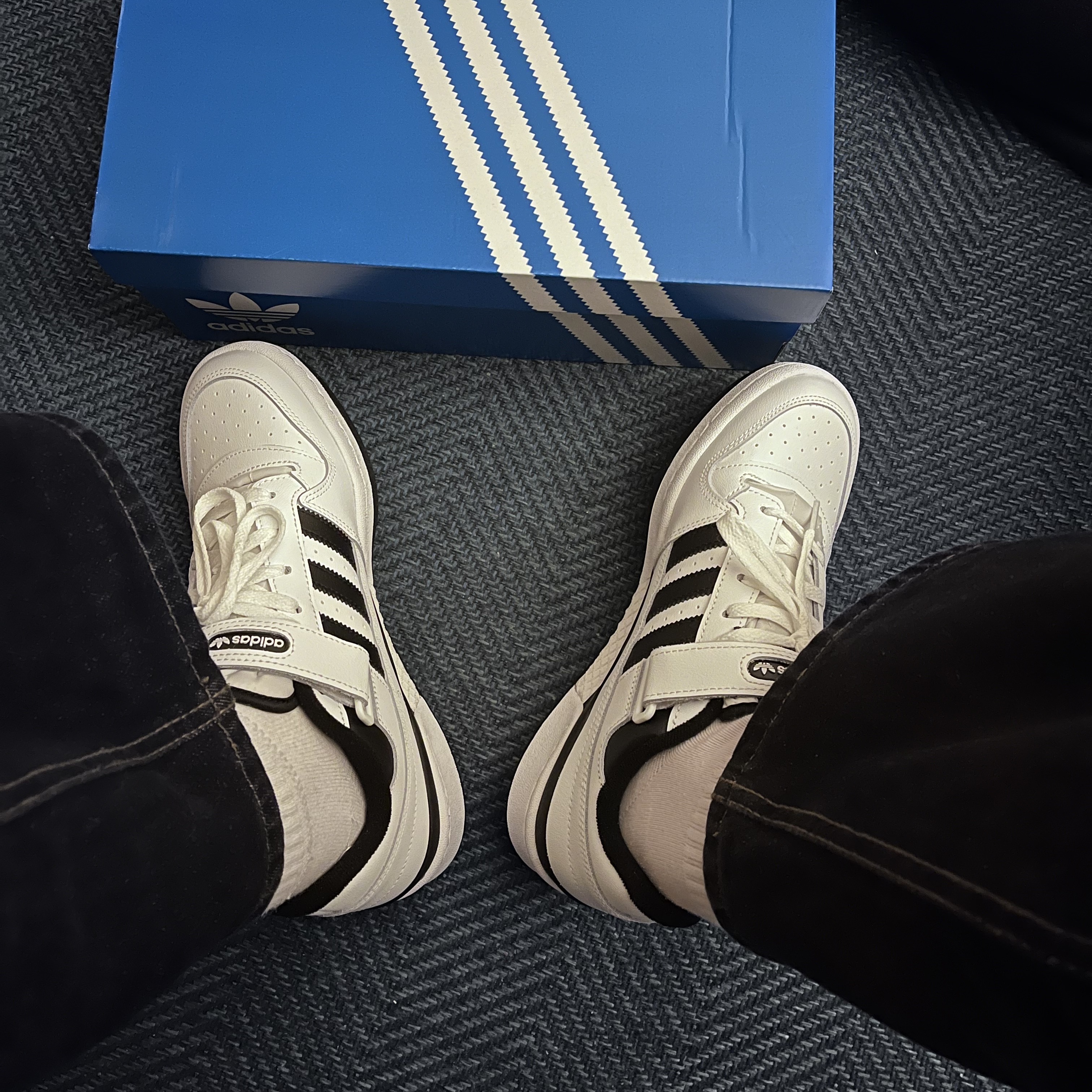 Adidas Forum Low White Black 착용 스타일