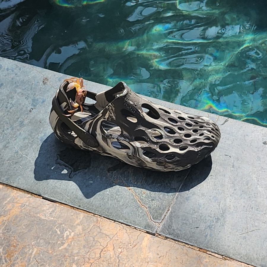 Merrell Hydro Moc Boulder 착용 스타일