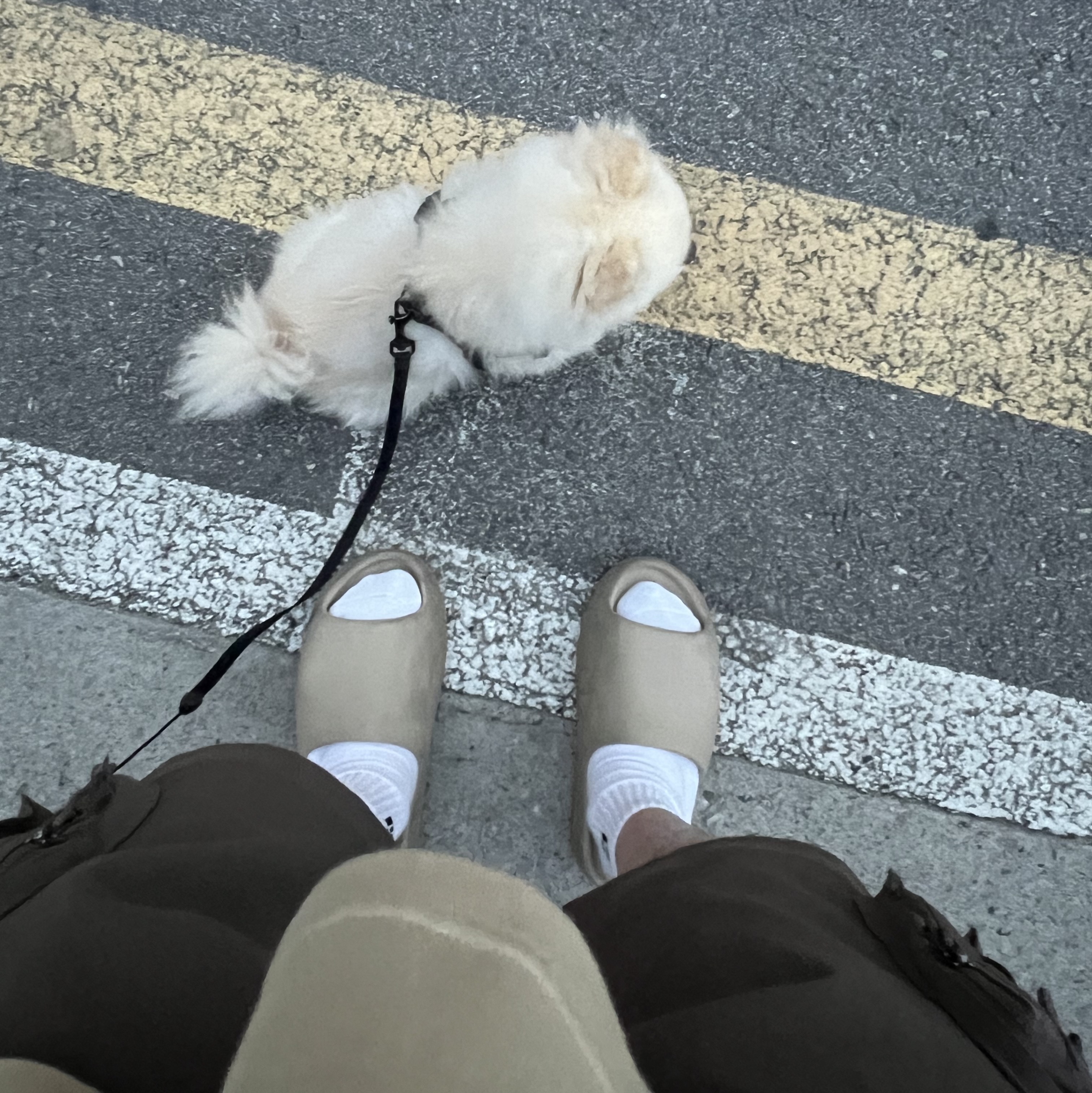 Adidas Yeezy Slide Pure 착용 스타일