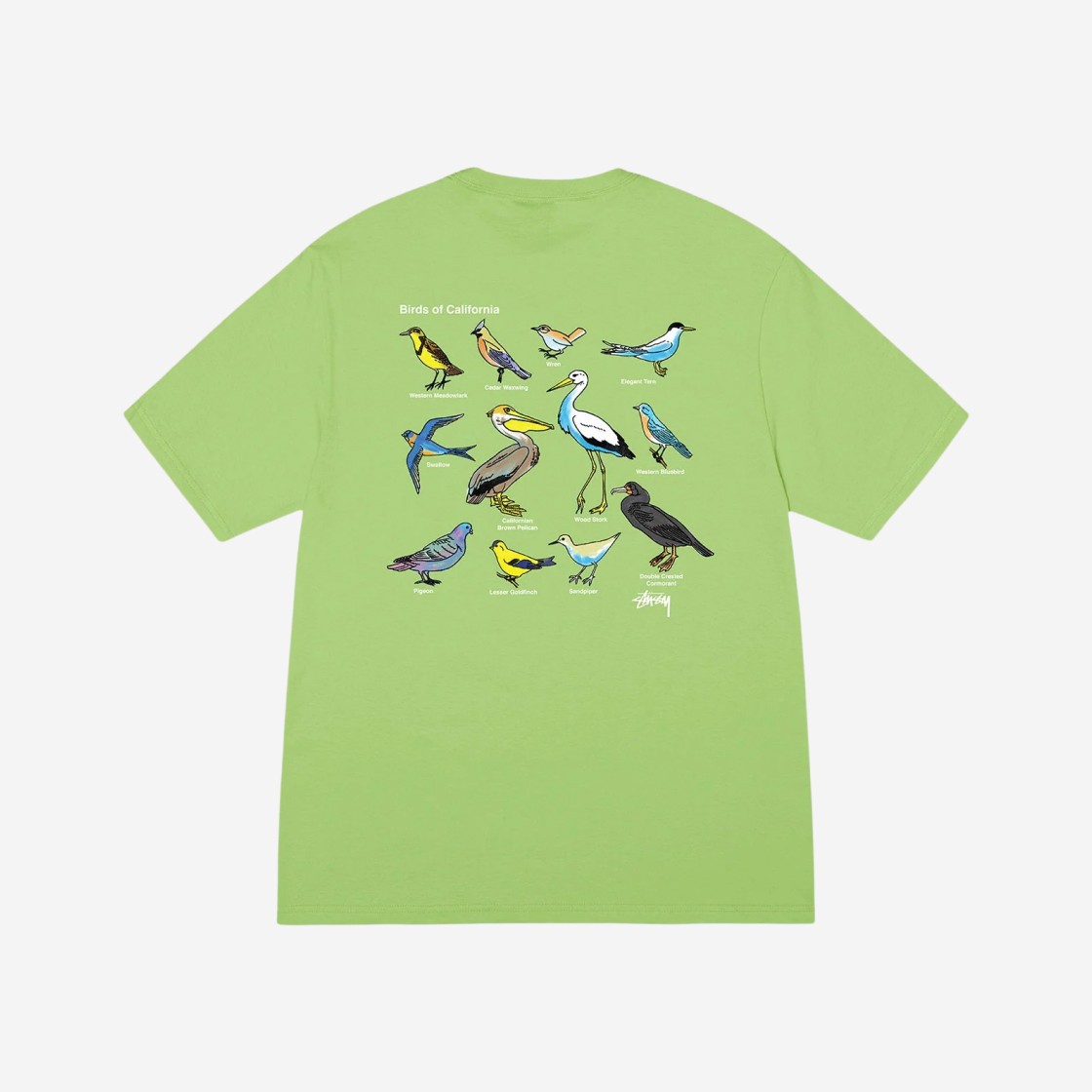 Stussy California Birds T-Shirt Tea 상세 이미지 2