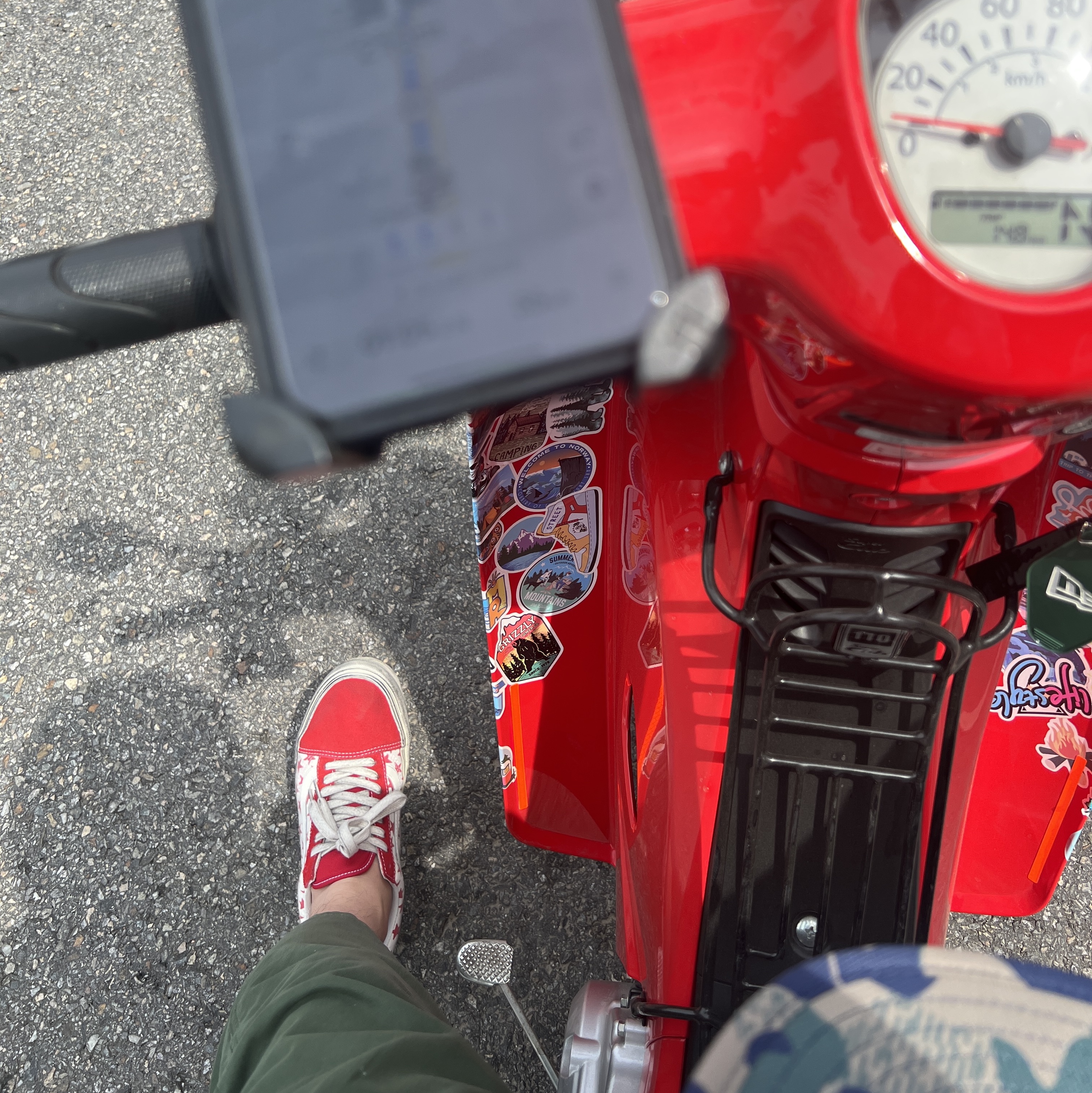 Vans Vault x Bianca Chandon Old Skool LX Stressed Red White 착용 스타일
