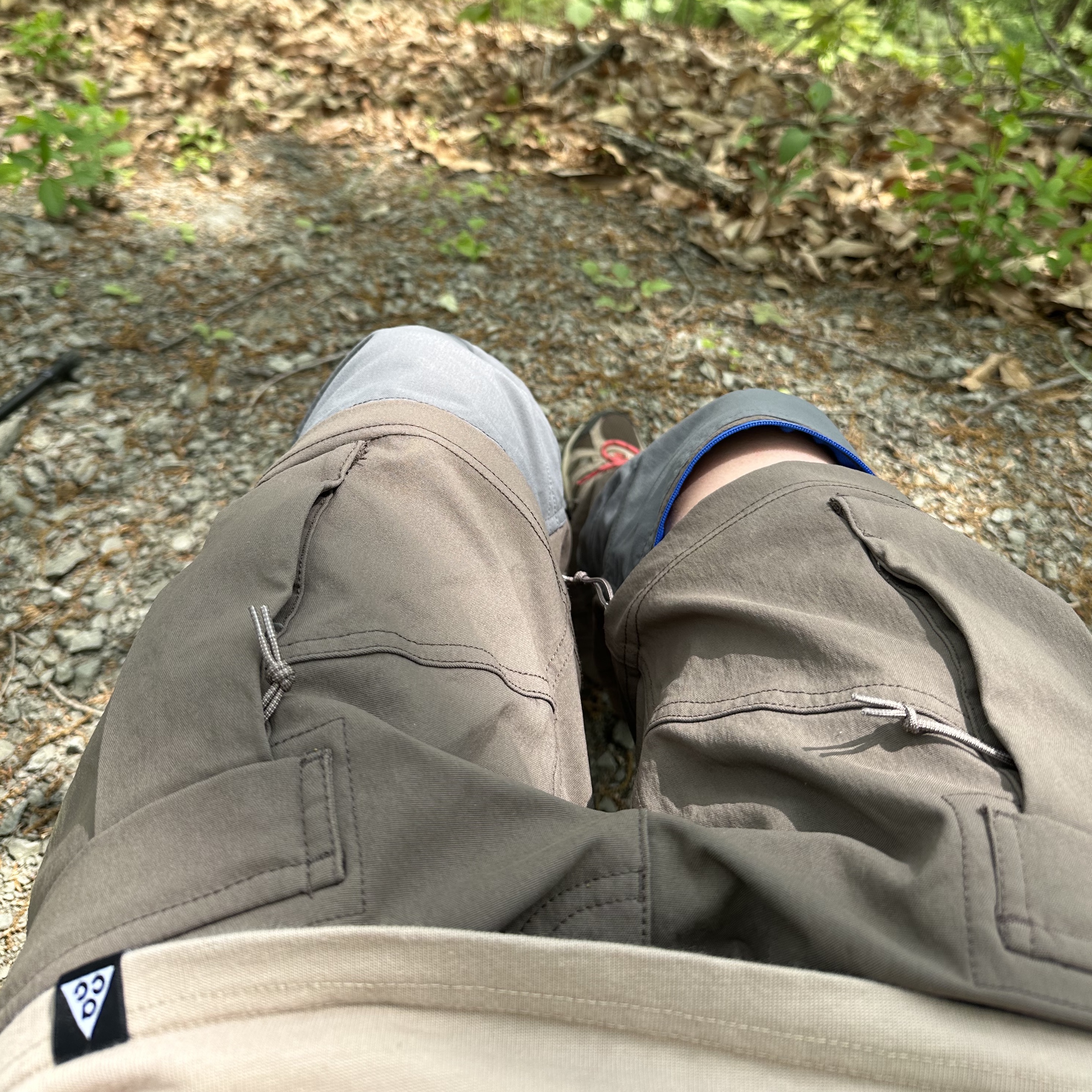 Nike ACG Smith Summit Cargo Pants Velvet Brown - Asia, Nike NRG ACG Short Sleeve Crater Lake T-Shirt Khaki - Asia 착용 스타일