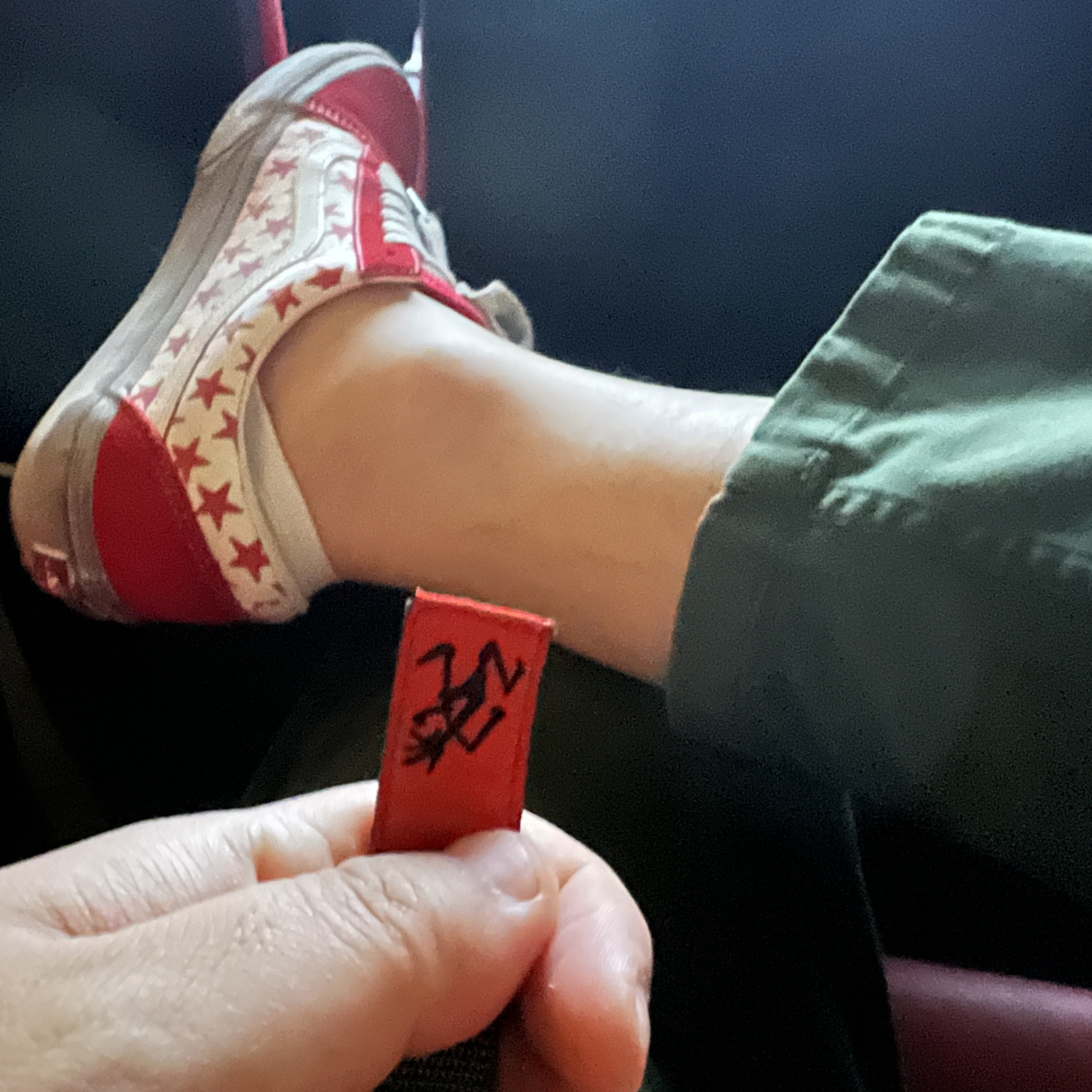 Vans Vault x Bianca Chandon Old Skool LX Stressed Red White 착용 스타일