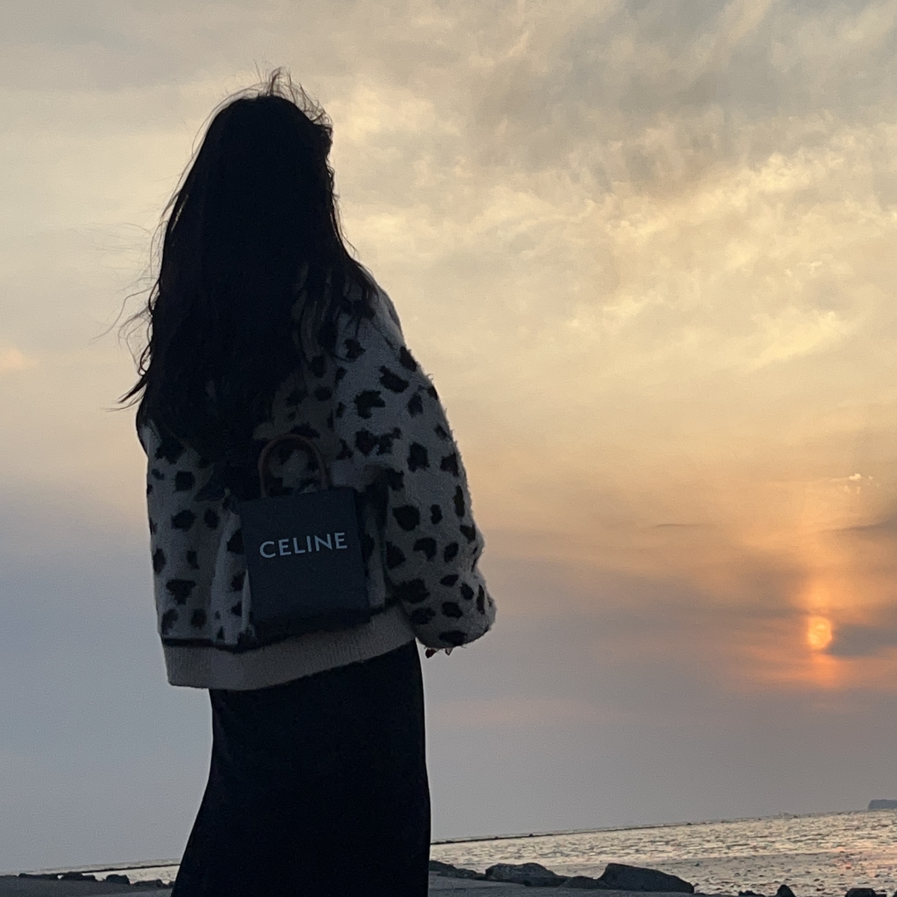 Celine Mini Vertical Cabas in Triomphe Canvas and Calfskin with Celine Print Tan 착용 스타일