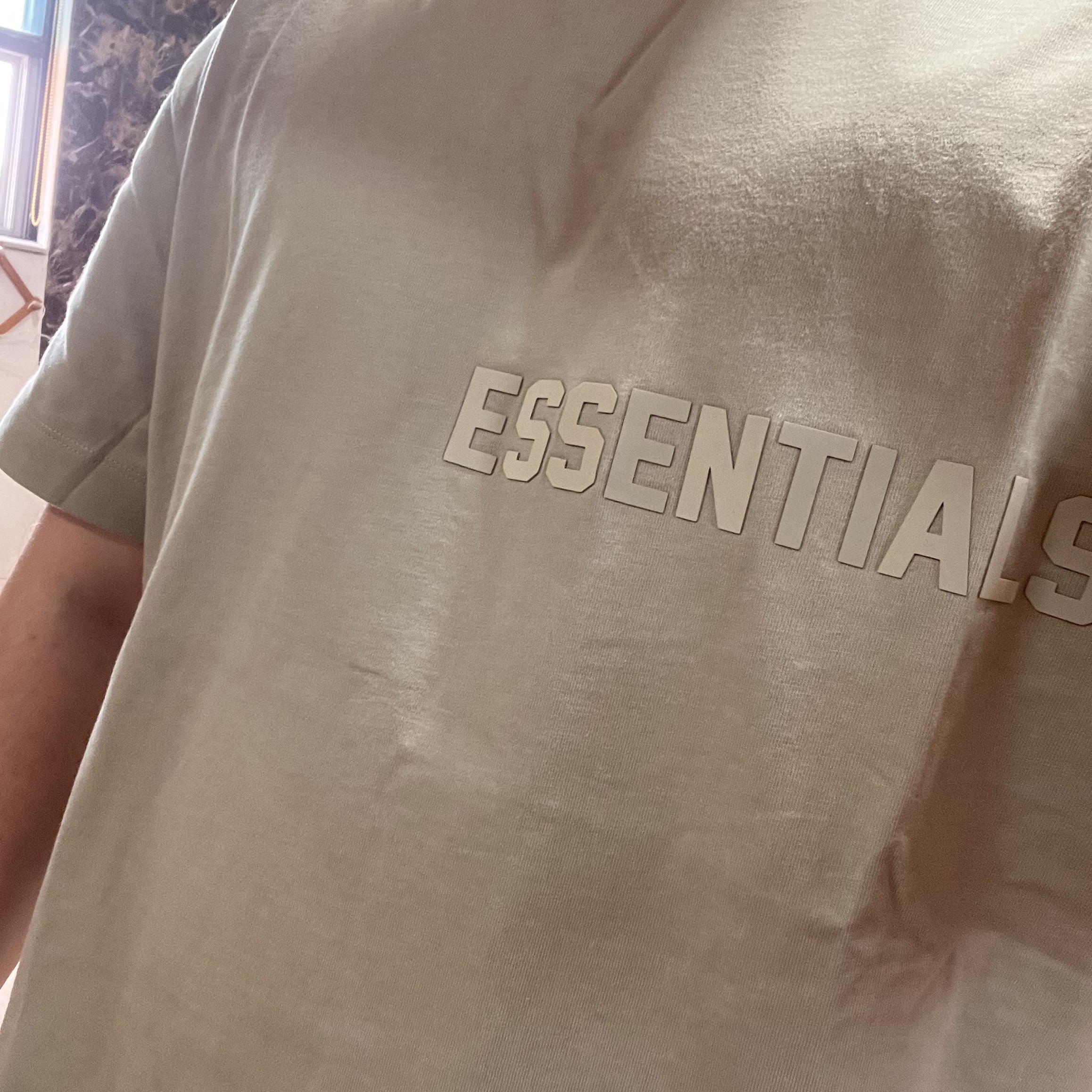 Essentials SS T-Shirt Seal - 23SS 착용 스타일