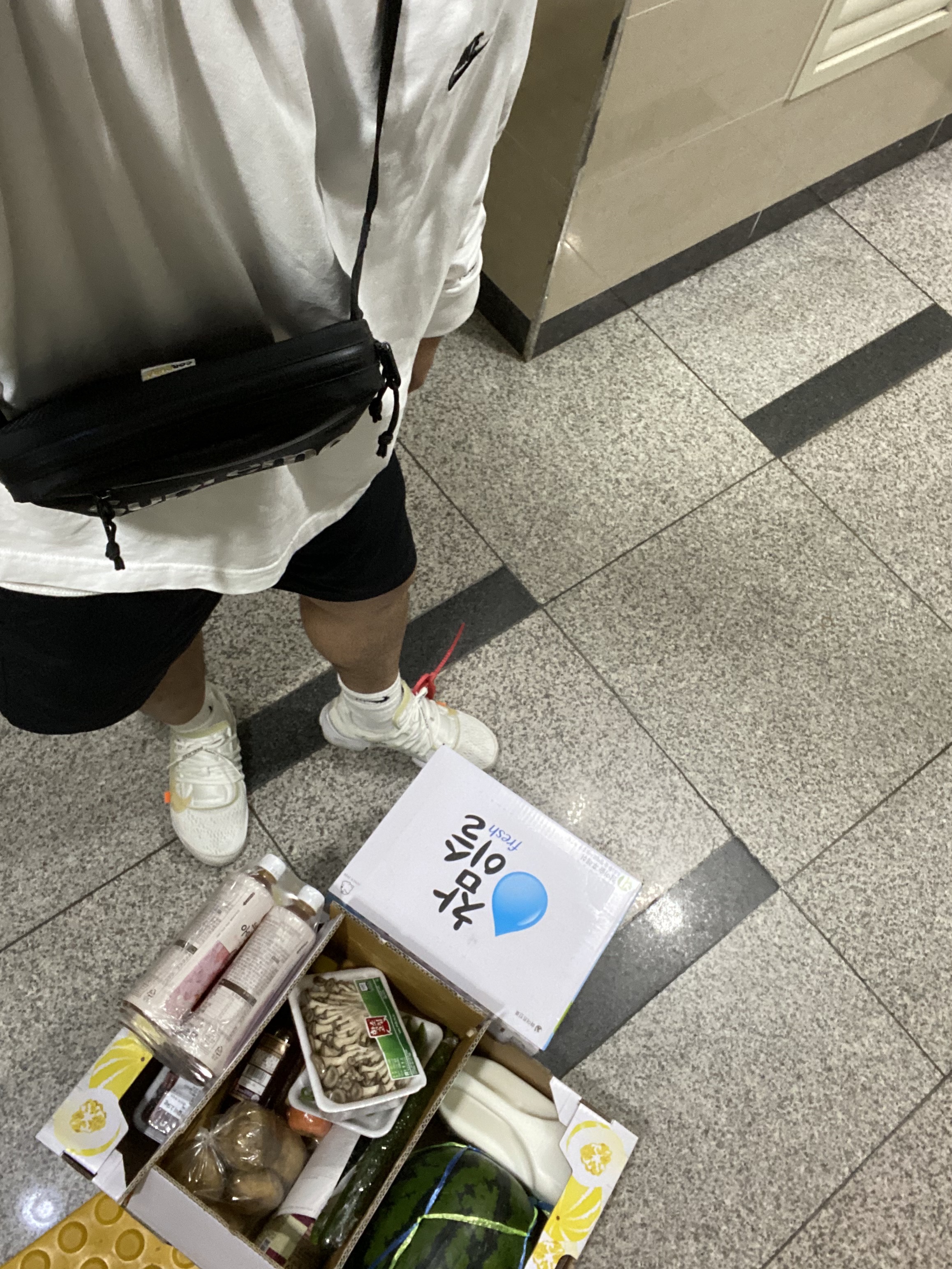 Nike x Peaceminusone LS T-Shirt White (DR0098-100), Nike x Off-White Air Presto White 착용 스타일