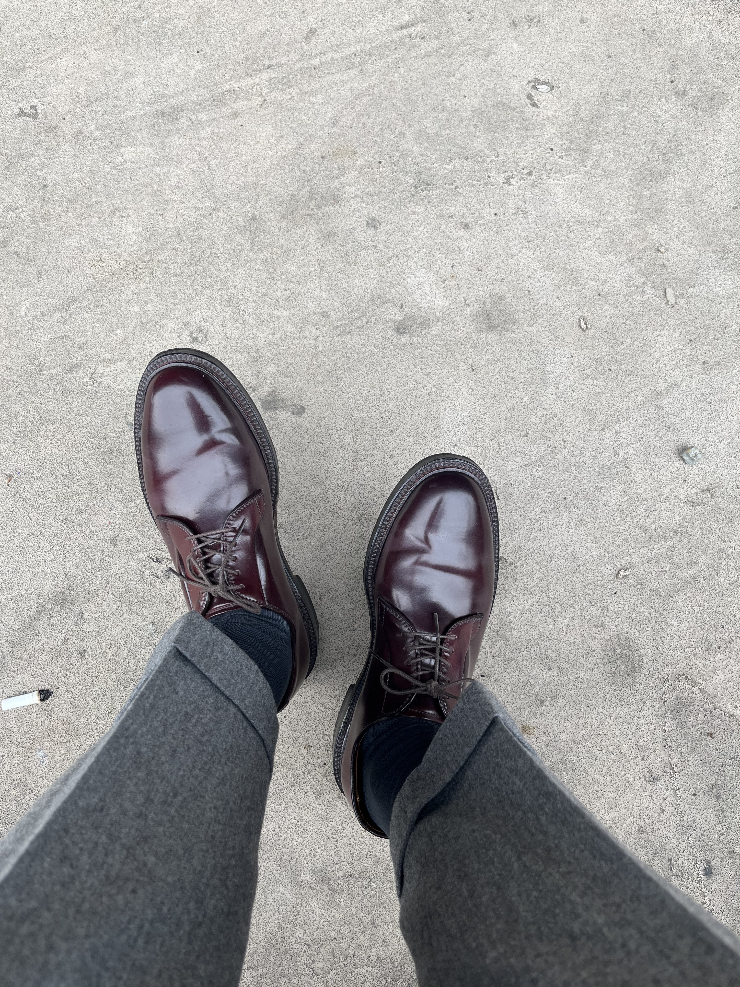 Alden 990 Cordovan Plain Toe Blucher Oxford Burgundy - D 착용 스타일