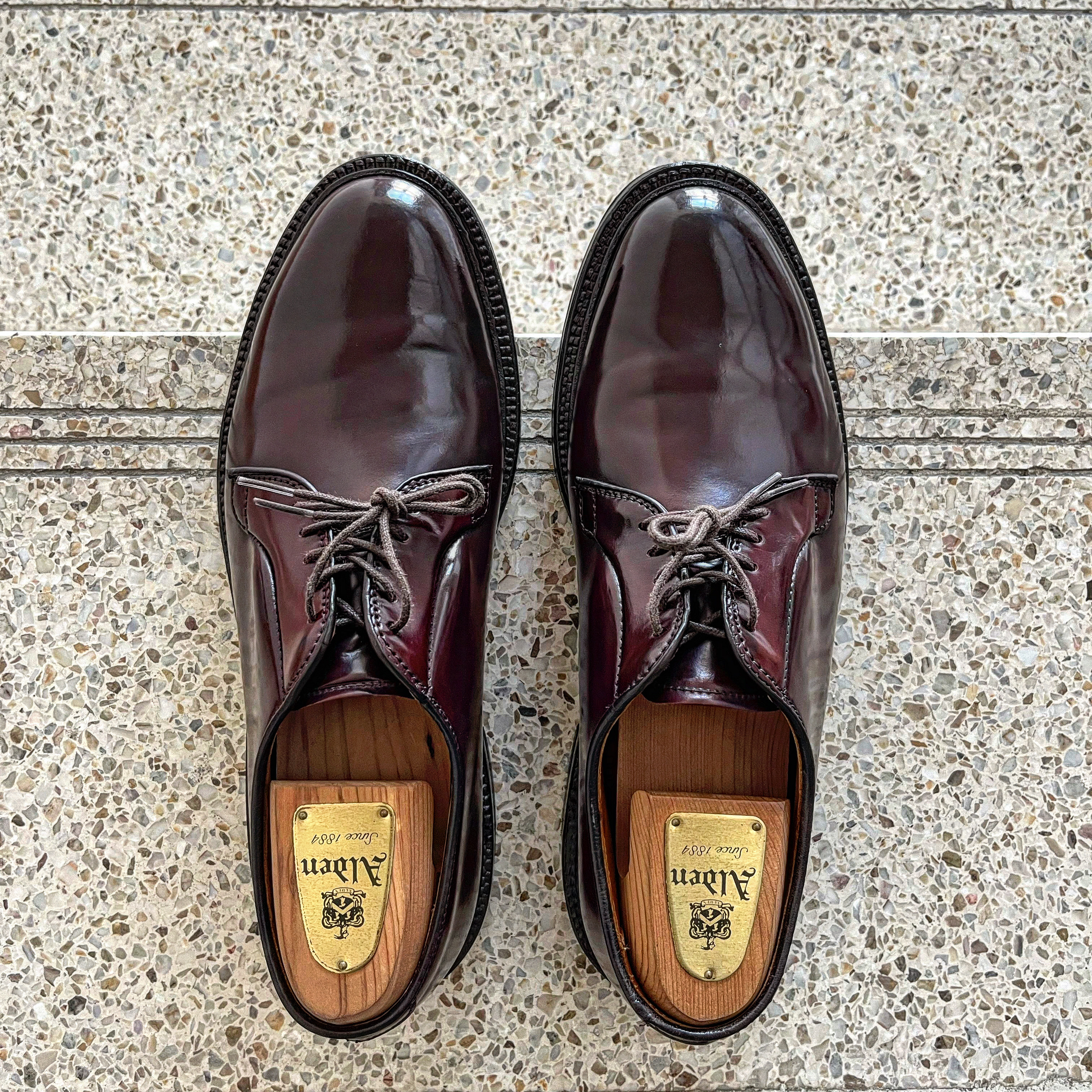 Alden 990 Cordovan Plain Toe Blucher Oxford Burgundy - D 착용 스타일