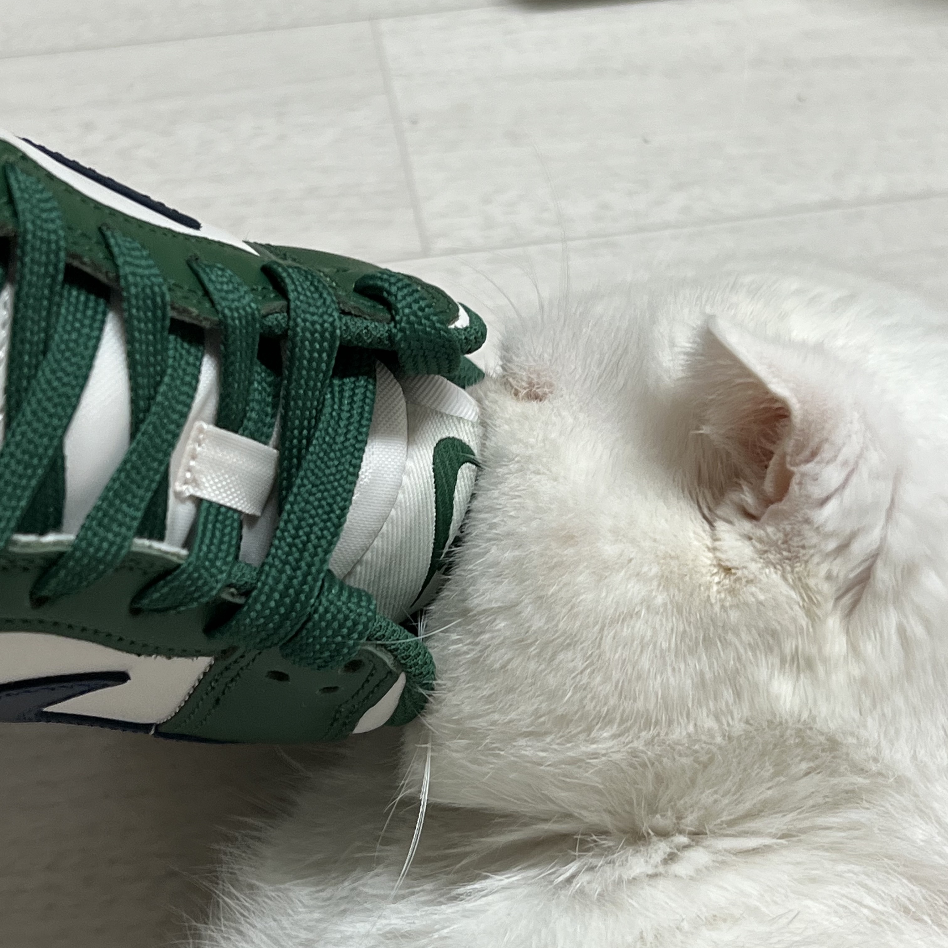 (W) Nike Dunk Low Gorge Green 착용 스타일 - 3