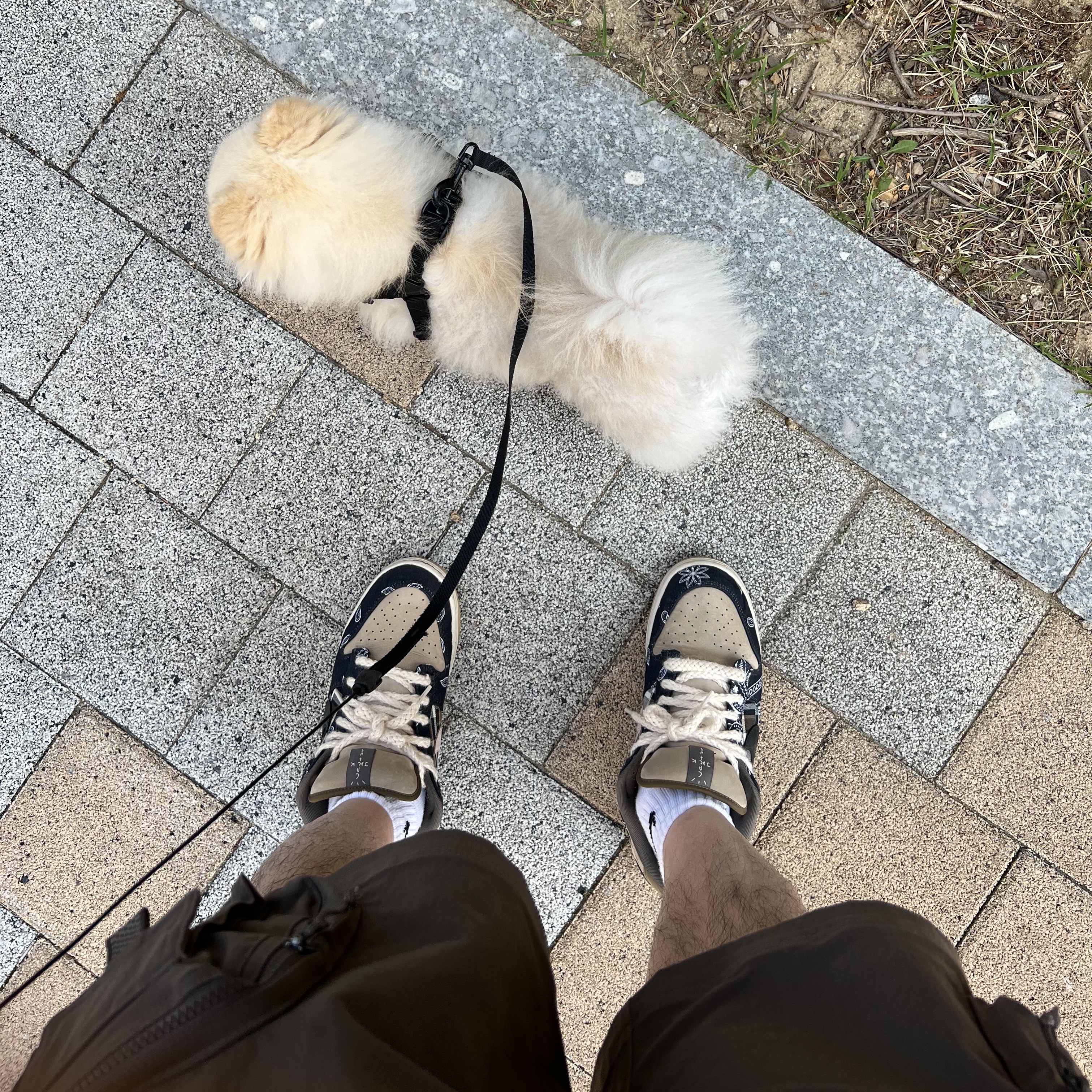 Nike x Travis Scott SB Dunk Low 착용 스타일