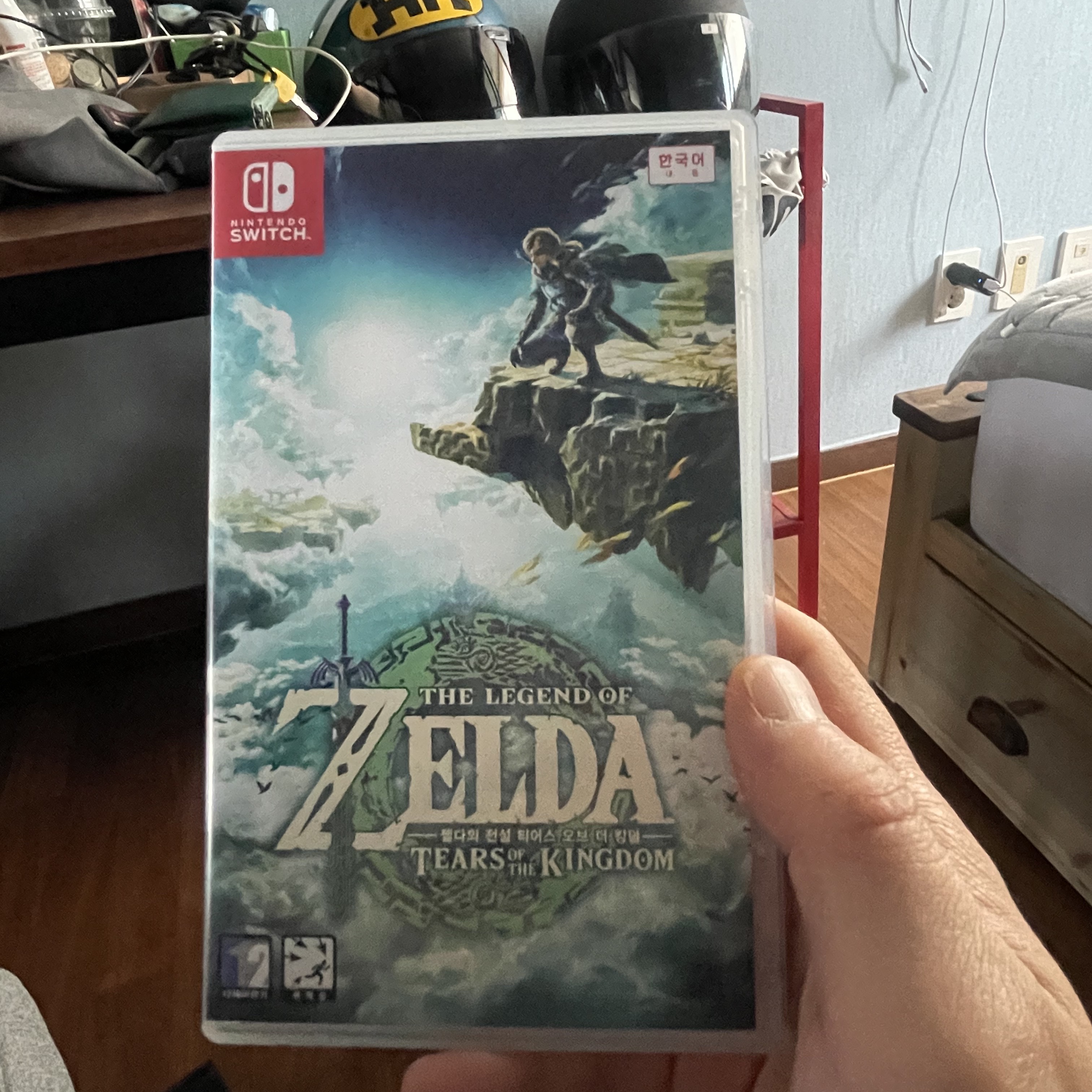 Nintendo Switch The Legend of Zelda Tears of The Kingdom (Korean Ver.) 착용 스타일