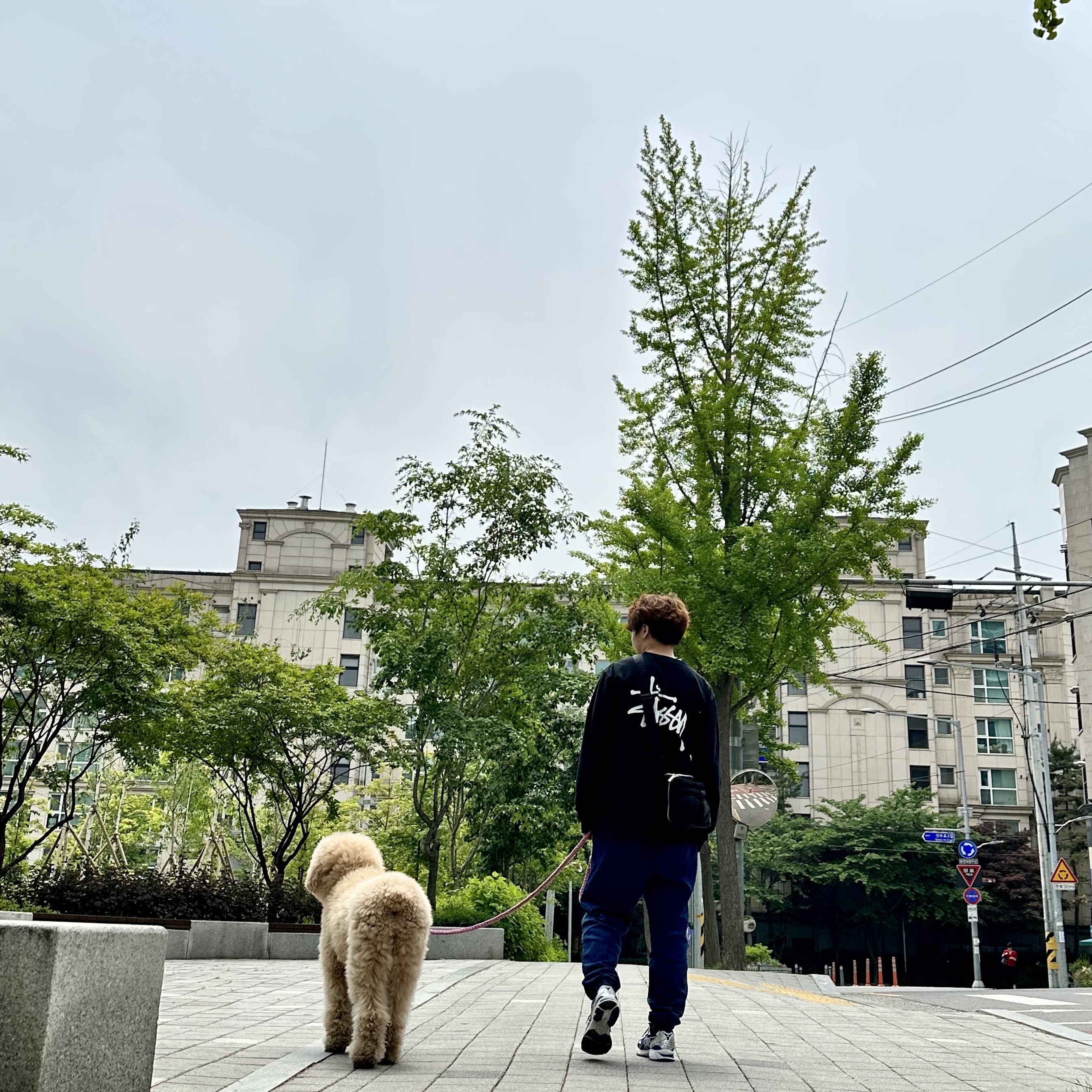 Stussy Basic Stussy LS T-Shirt Black 2022, Asics Gel-Kayano 14 Monaco Blue Black 착용 스타일