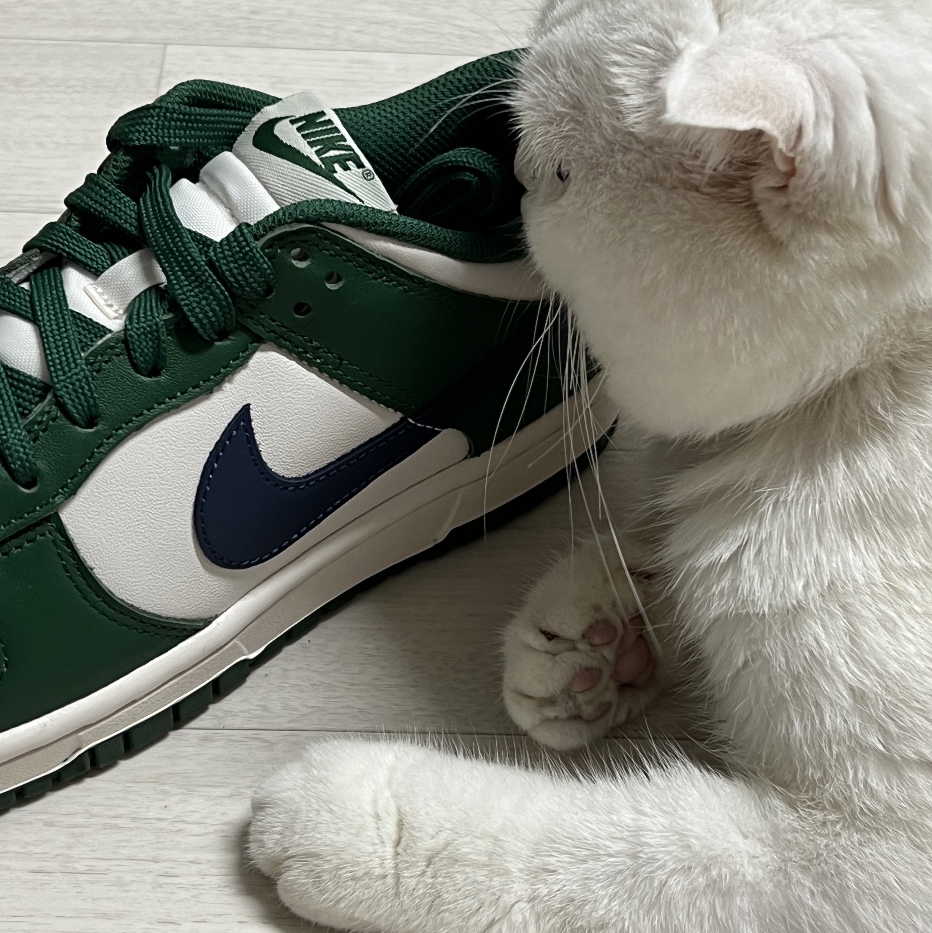 (W) Nike Dunk Low Gorge Green 착용 스타일 - 2