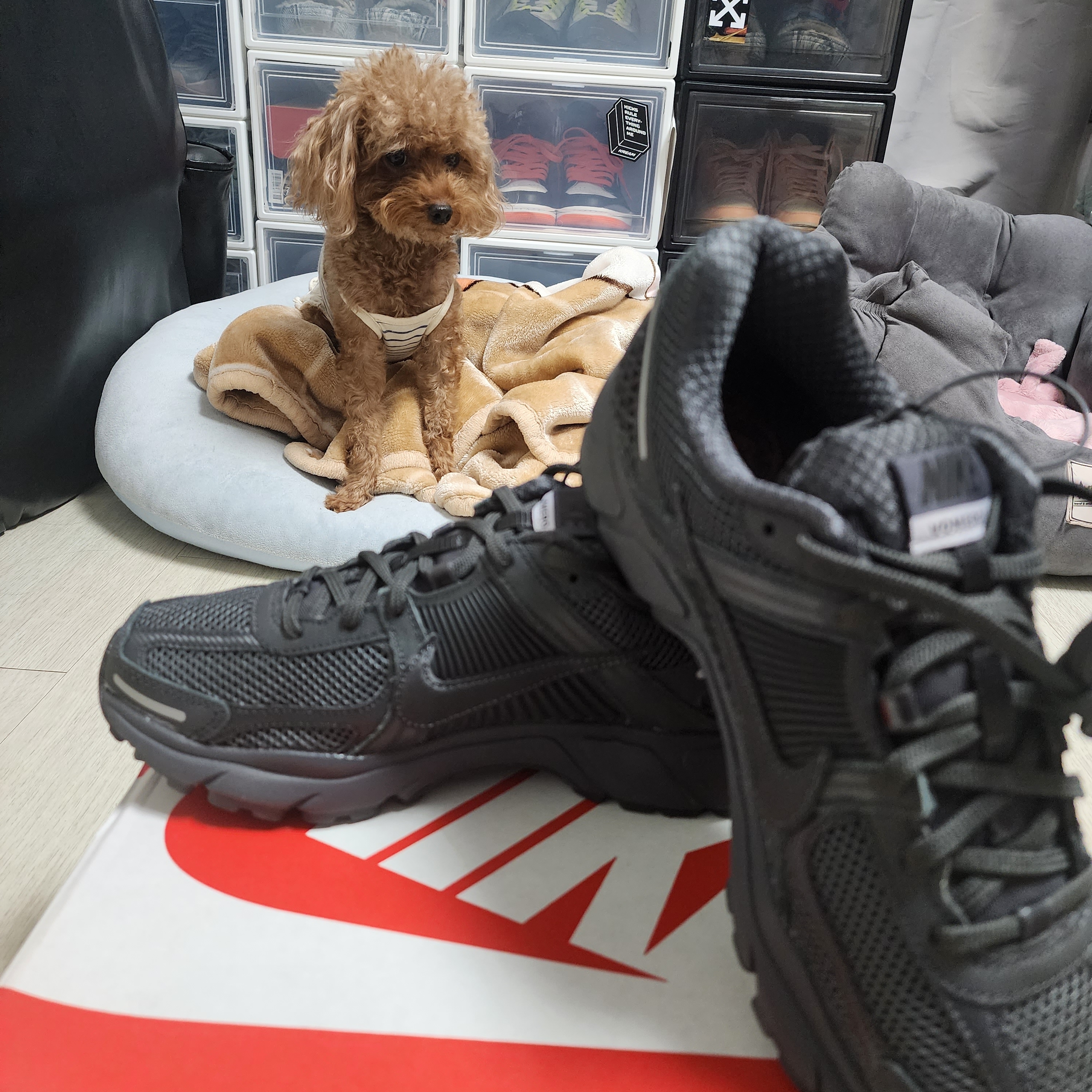 Nike Zoom Vomero 5 SP Anthracite 2023 착용 스타일 - 3